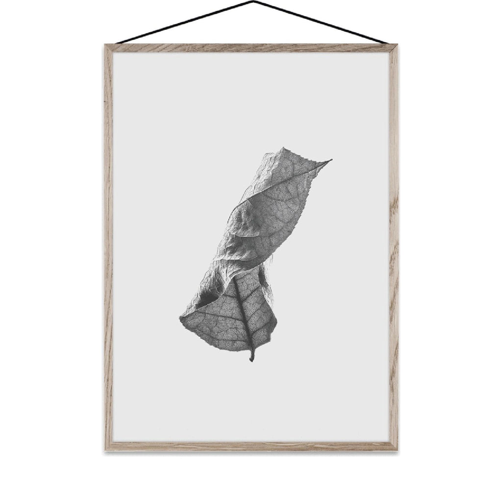 Paper Collective Floating Leaves 01 Map, A4