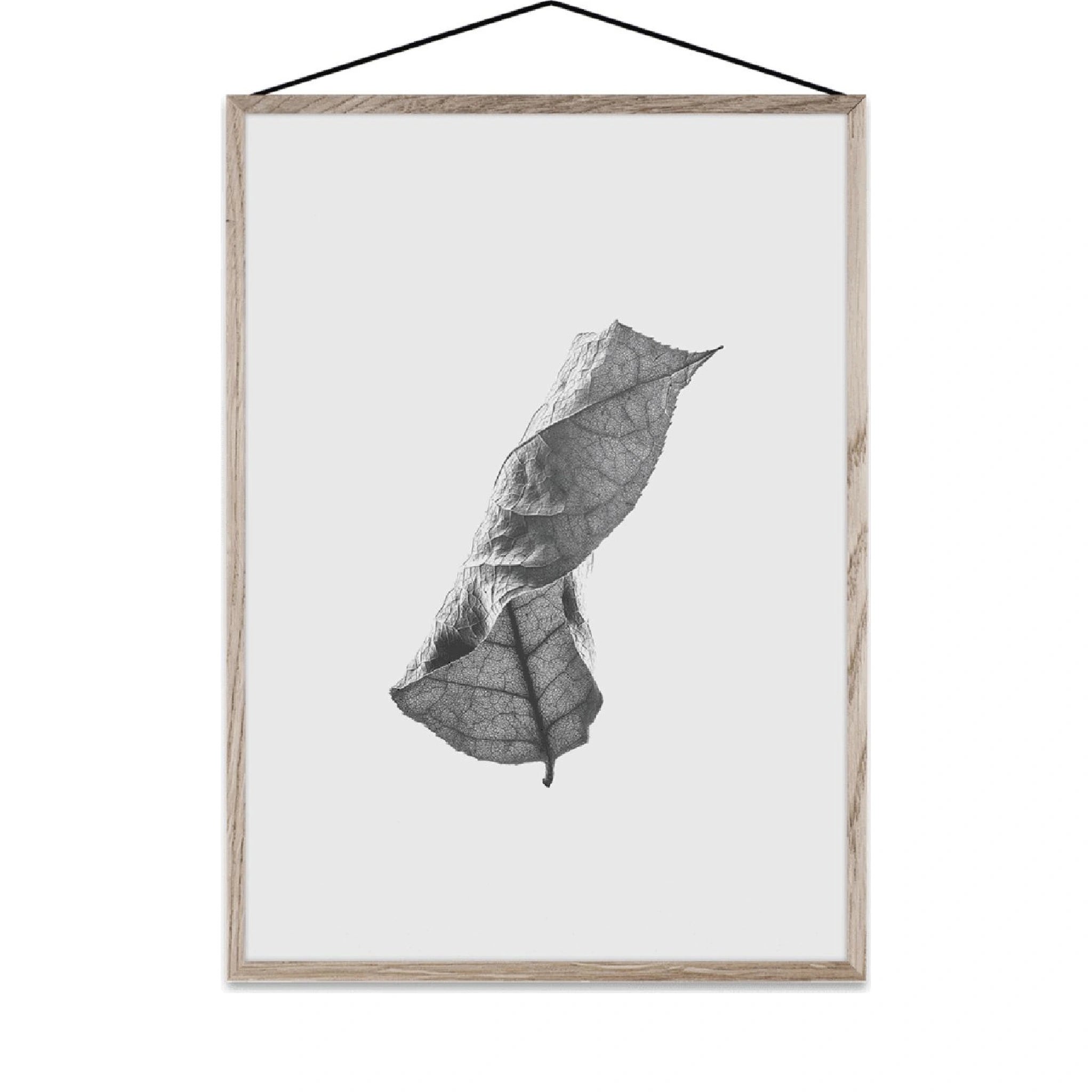 Paper Collective Floating Leaves 01 Map, A4