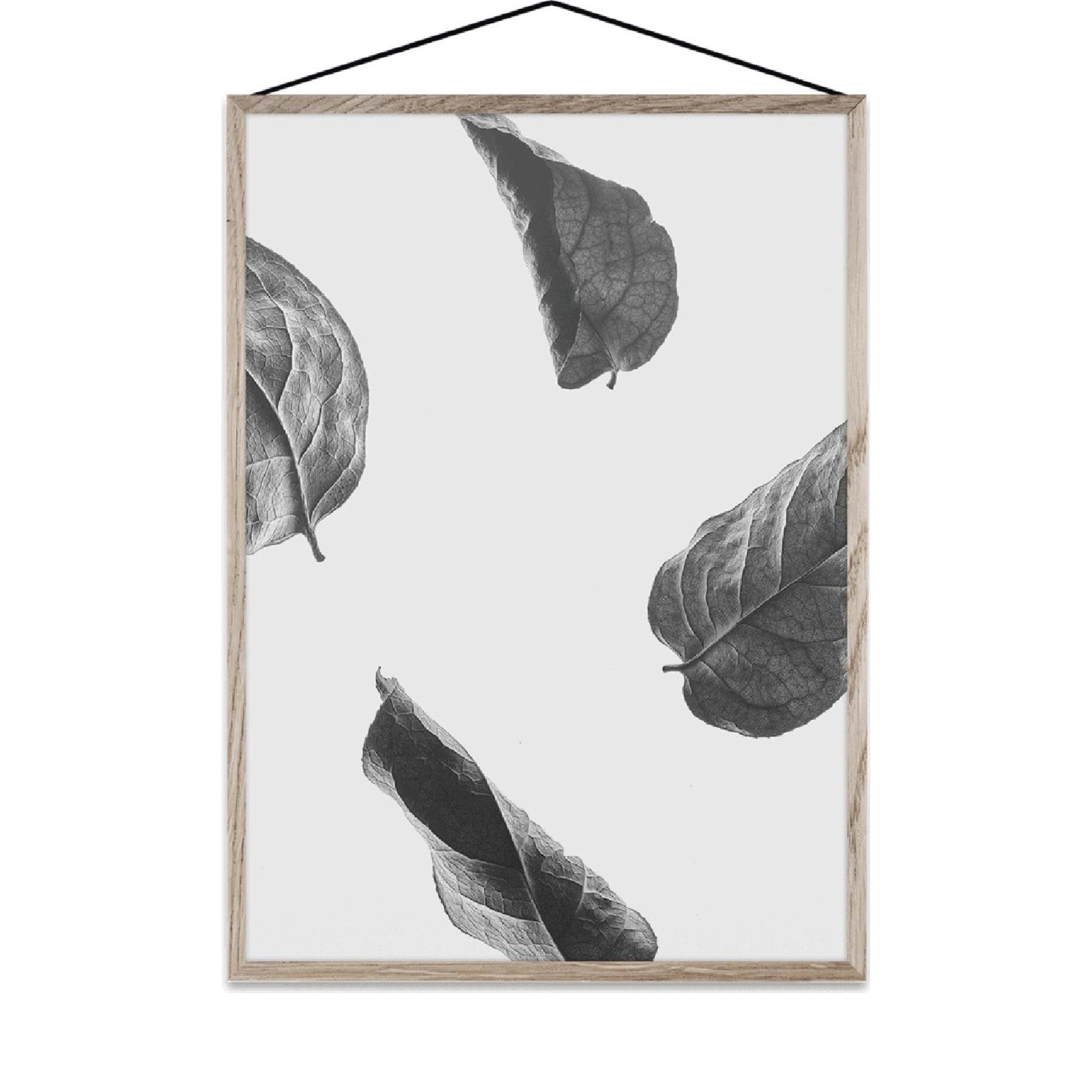 Paper Collective Floating Leaves 02 Map, A3