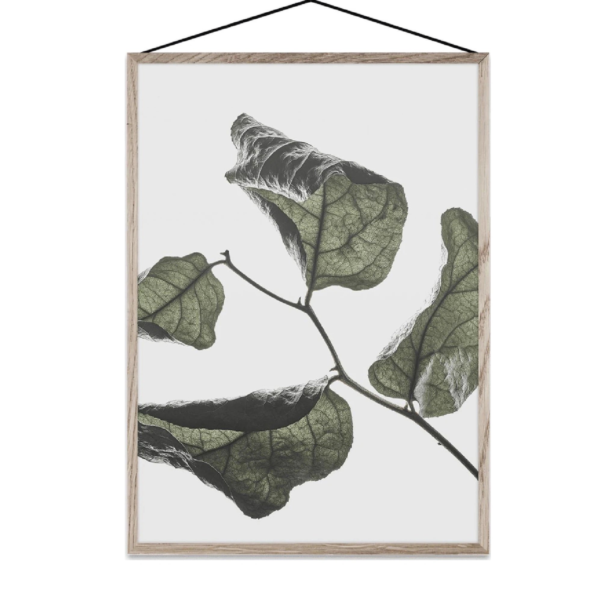 Paper Collective Floating Leaves 03 Map, A5