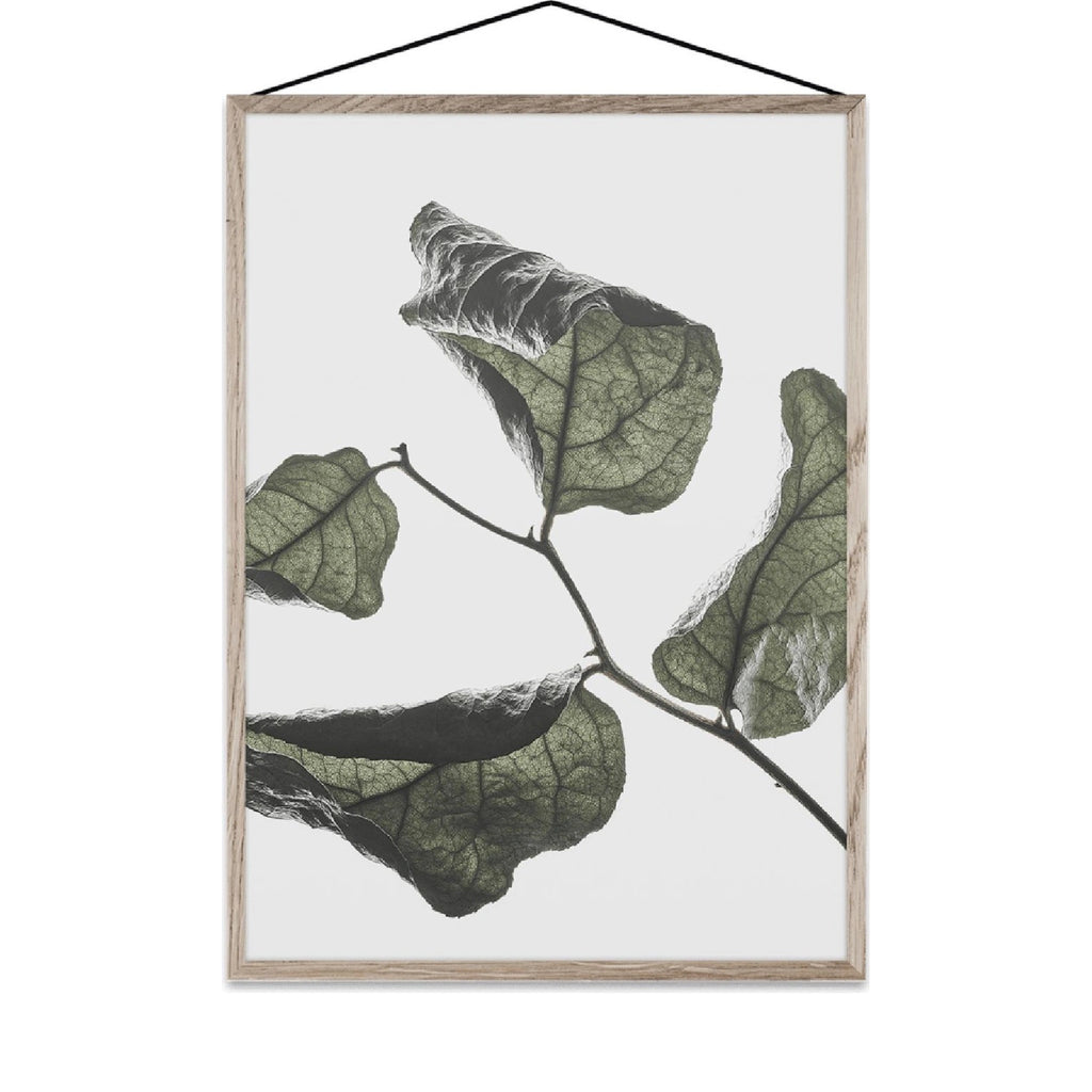 Paper Collective Floating Leaves 03 Map, A3