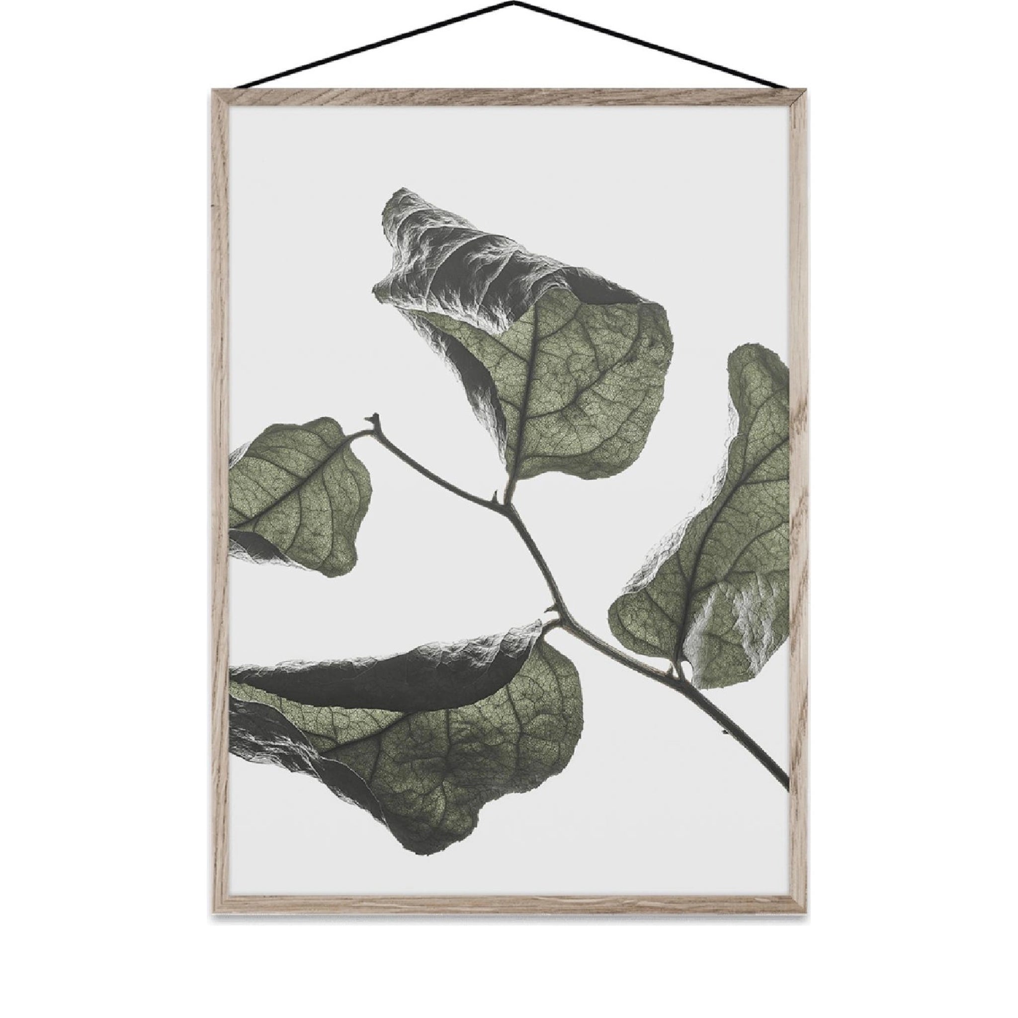 Paper Collective Floating Leaves 03 Map, A3