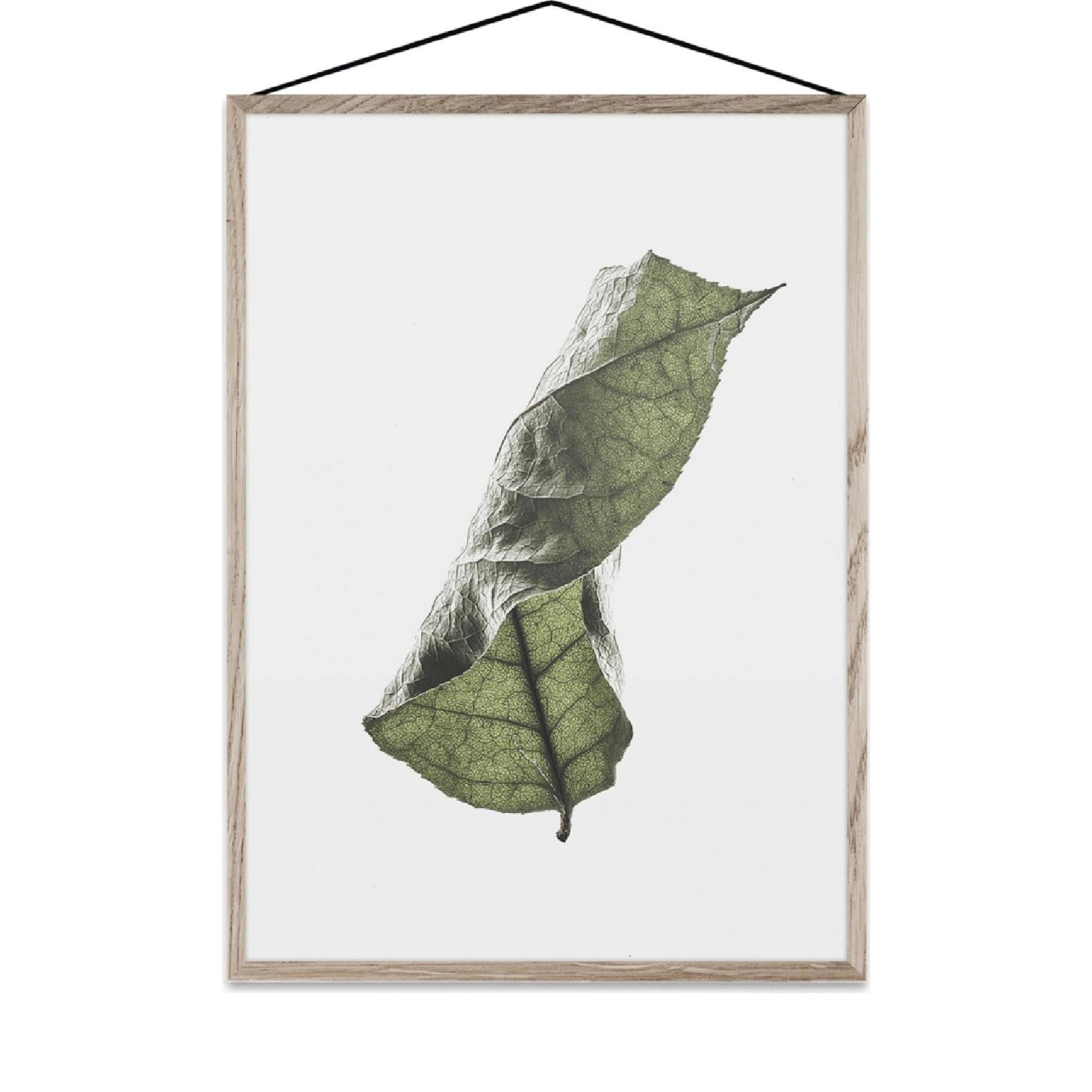 Paper Collective Floating Leaves 04 Map, A3