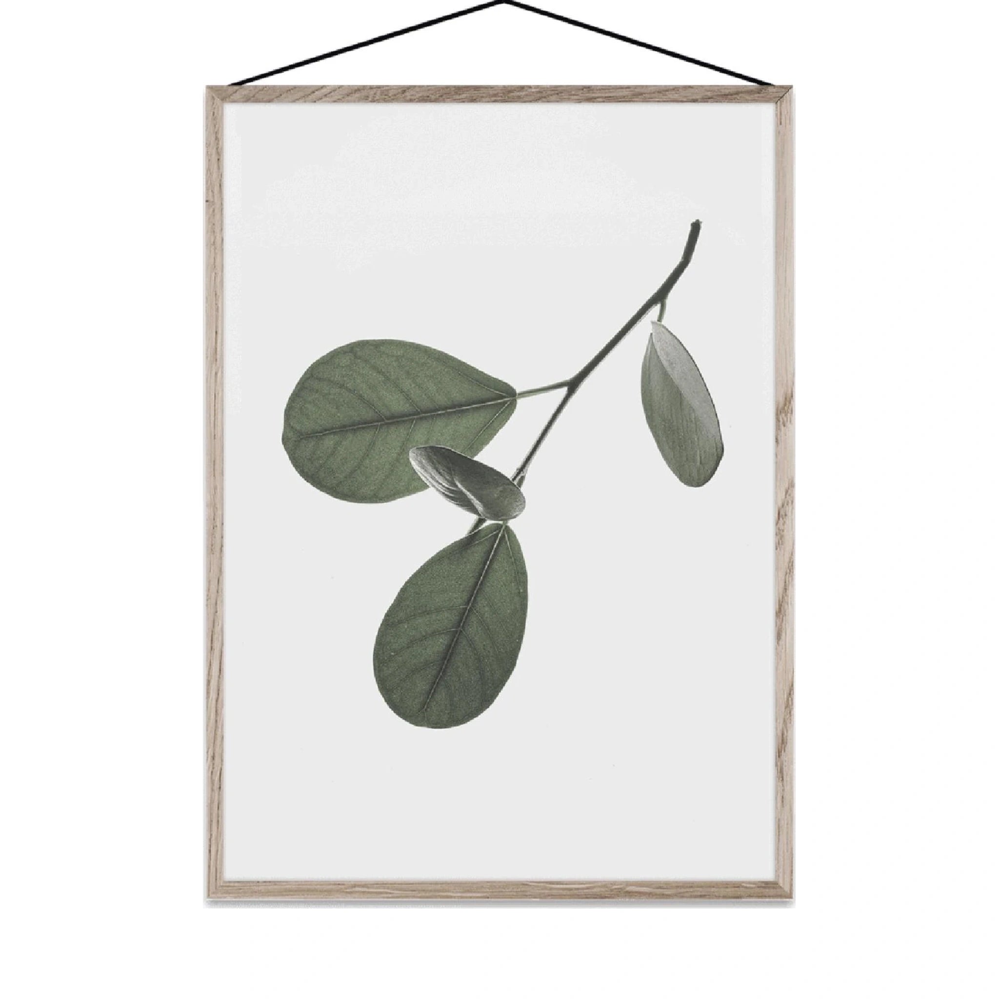 Paper Collective Floating Leaves 05 Card, A5