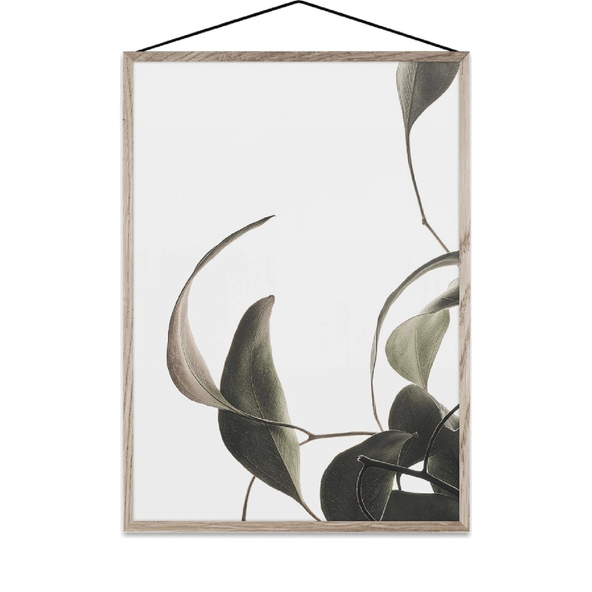 Paper Collective Floating Leaves 08 Map, A5