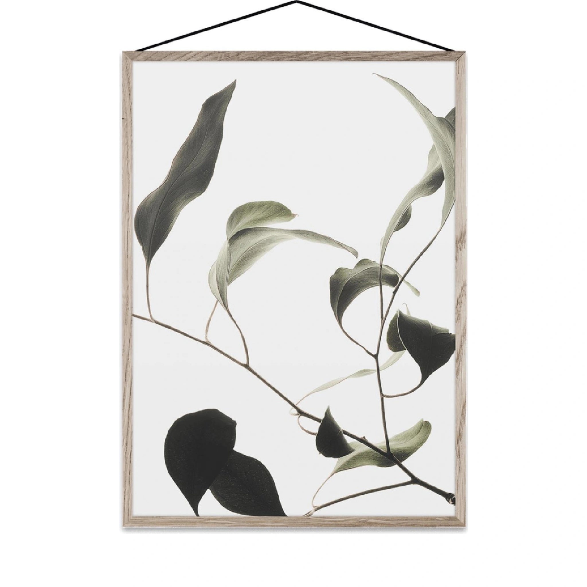 Paper Collective Floating Leaves 09 Map, A4