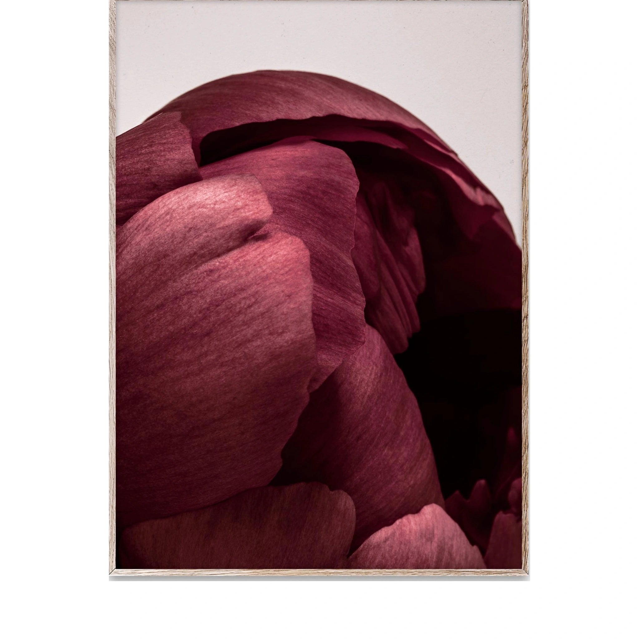 Paper Collective Peonia 01 Poster, 50x70 Cm