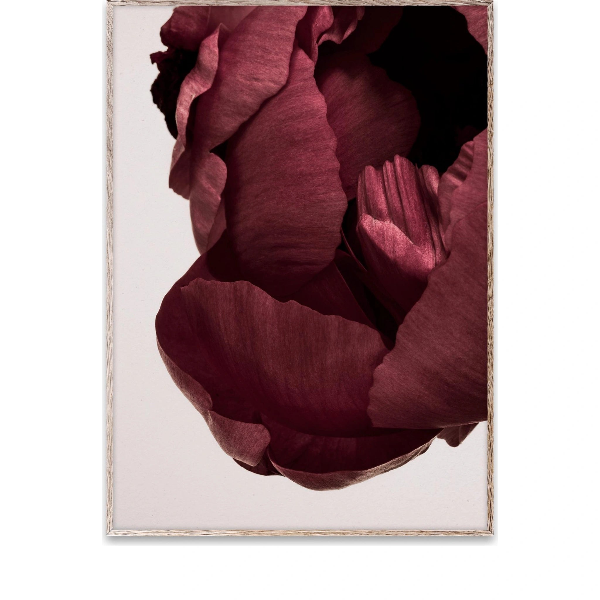 Paper Collective Peonia 02 Poster, 30x40 Cm