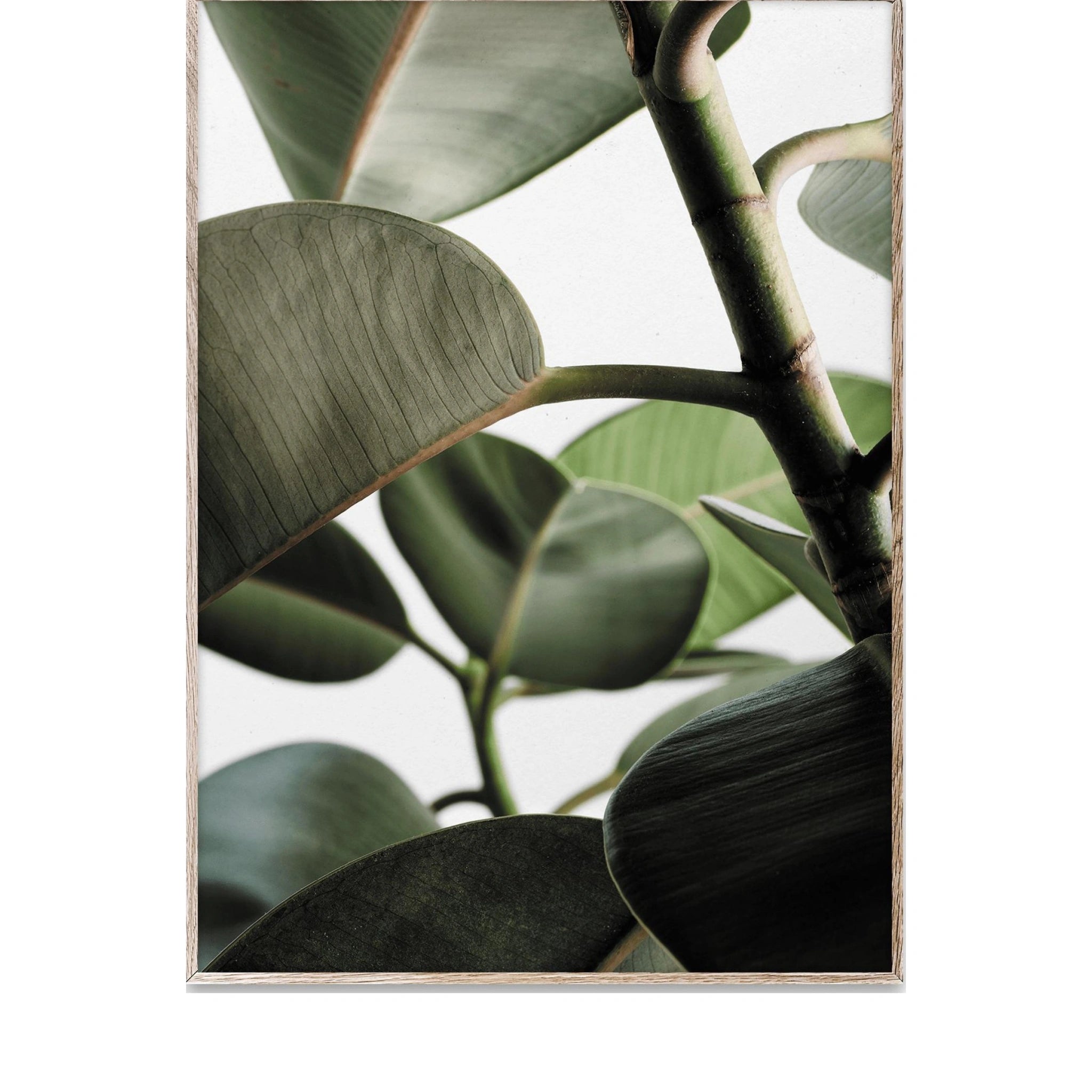 Paper Collective Green Home 03 Poster, 30x40 Cm