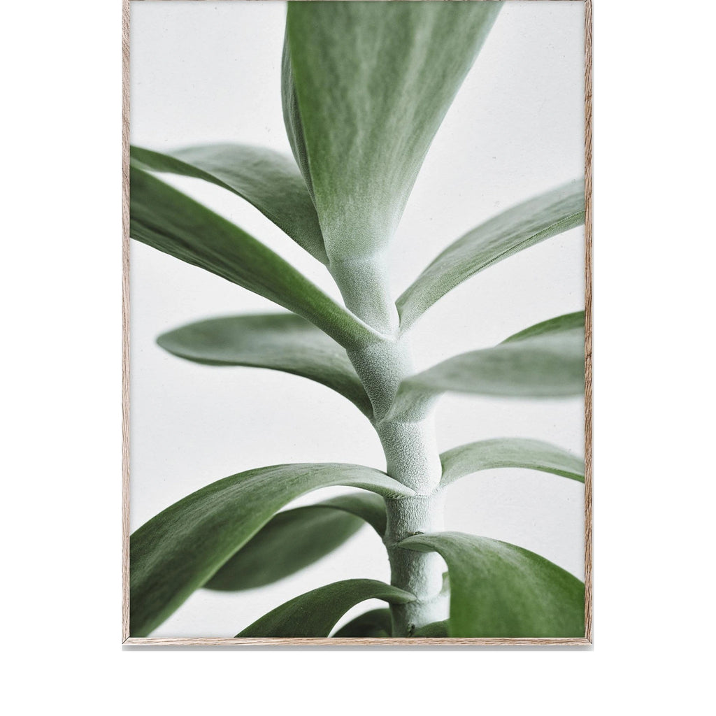 Paper Collective Green Home 04 Poster, 50x70 Cm