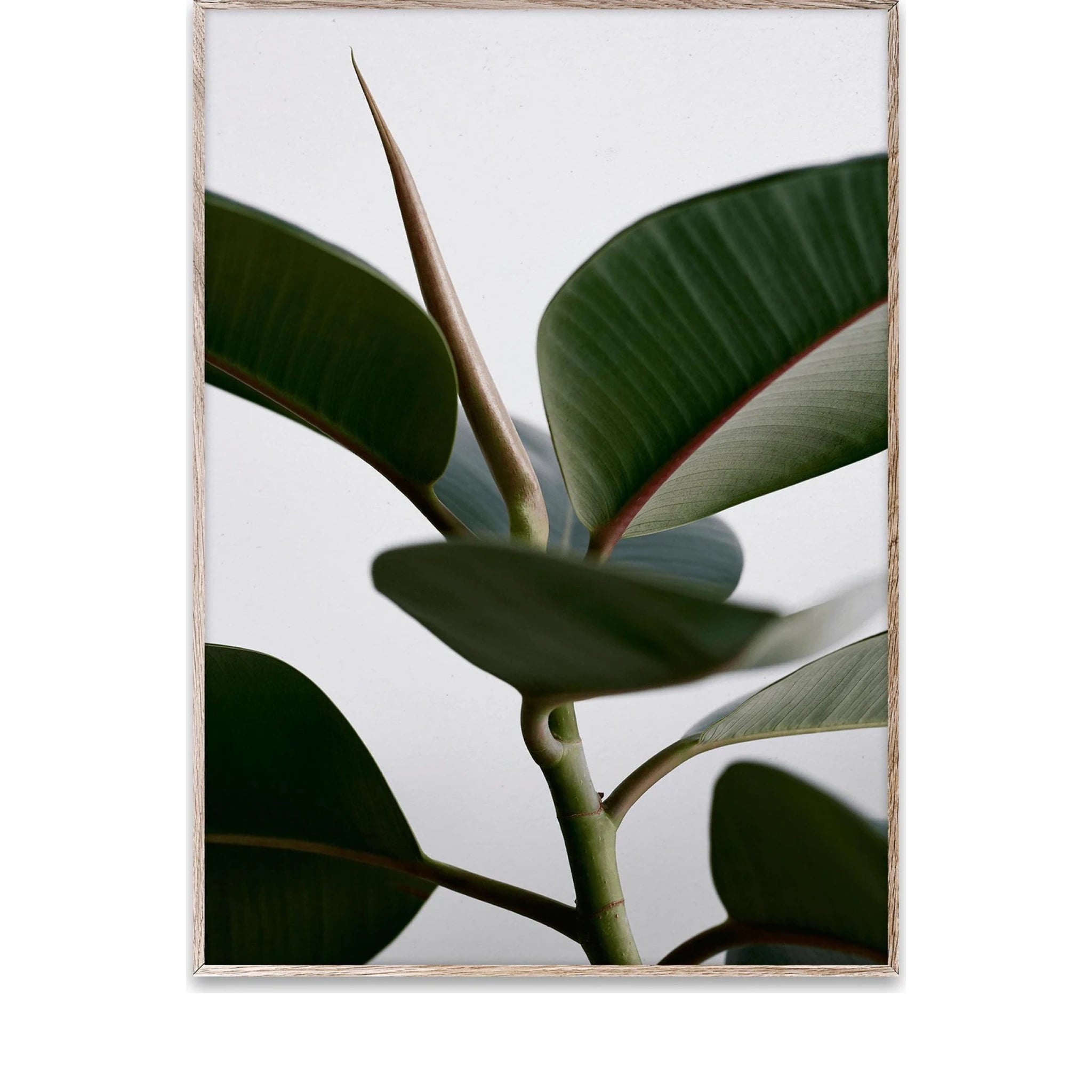 Paper Collective Green Home 02 Poster, 30x40 Cm