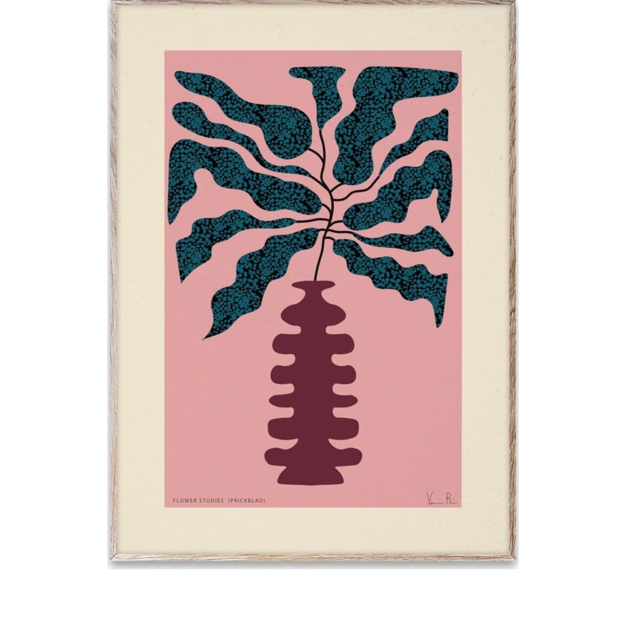 Paper Collective Flower Studies 01 (prickblad) Poster, 30x40 Cm