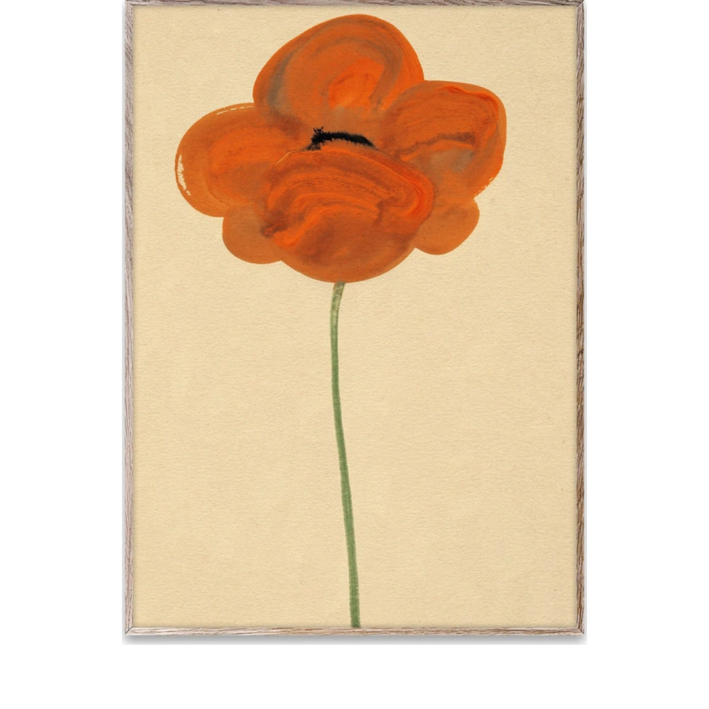 Paper Collective Orange Vallmo Poster, 50x70 Cm