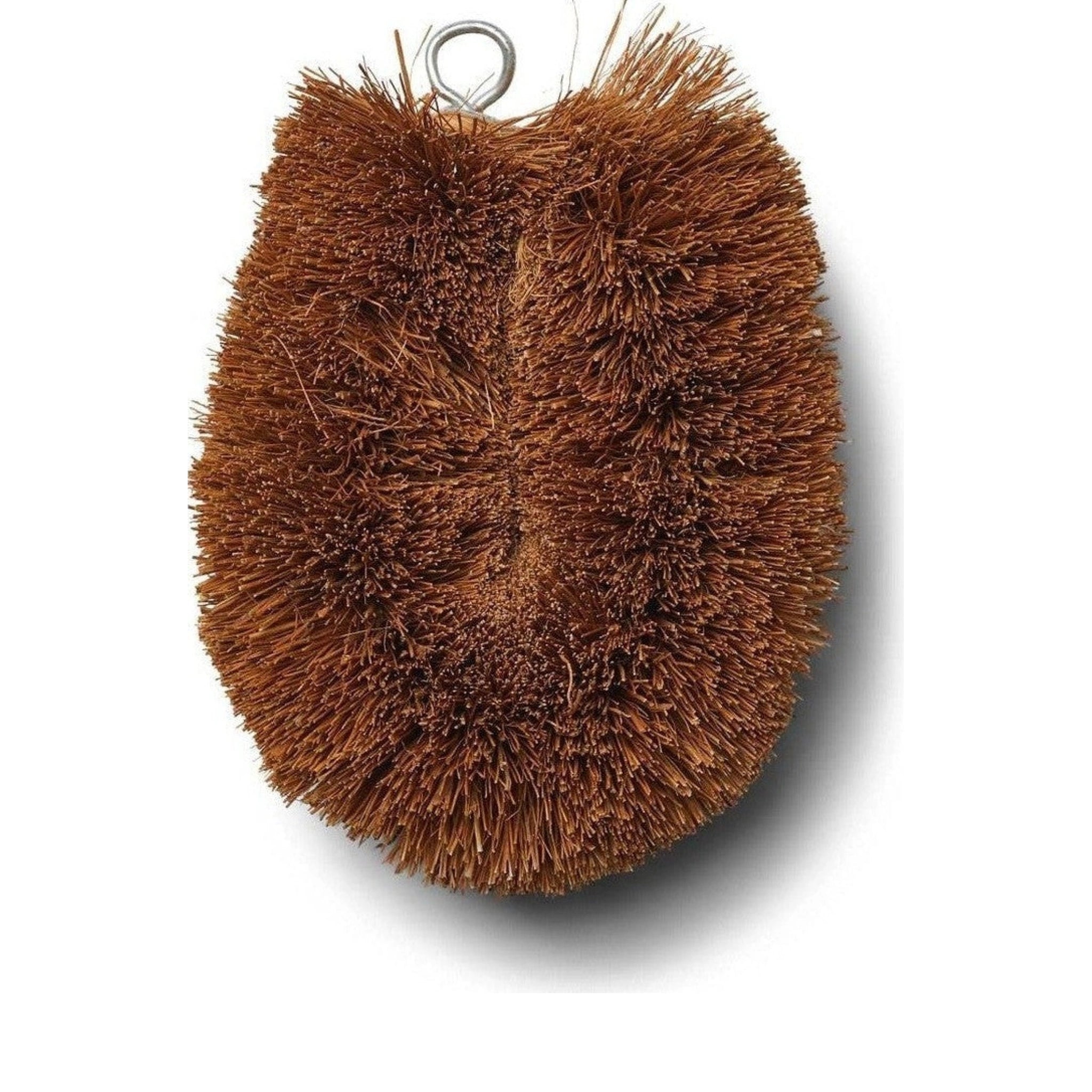 Humdakin Brush Coconut