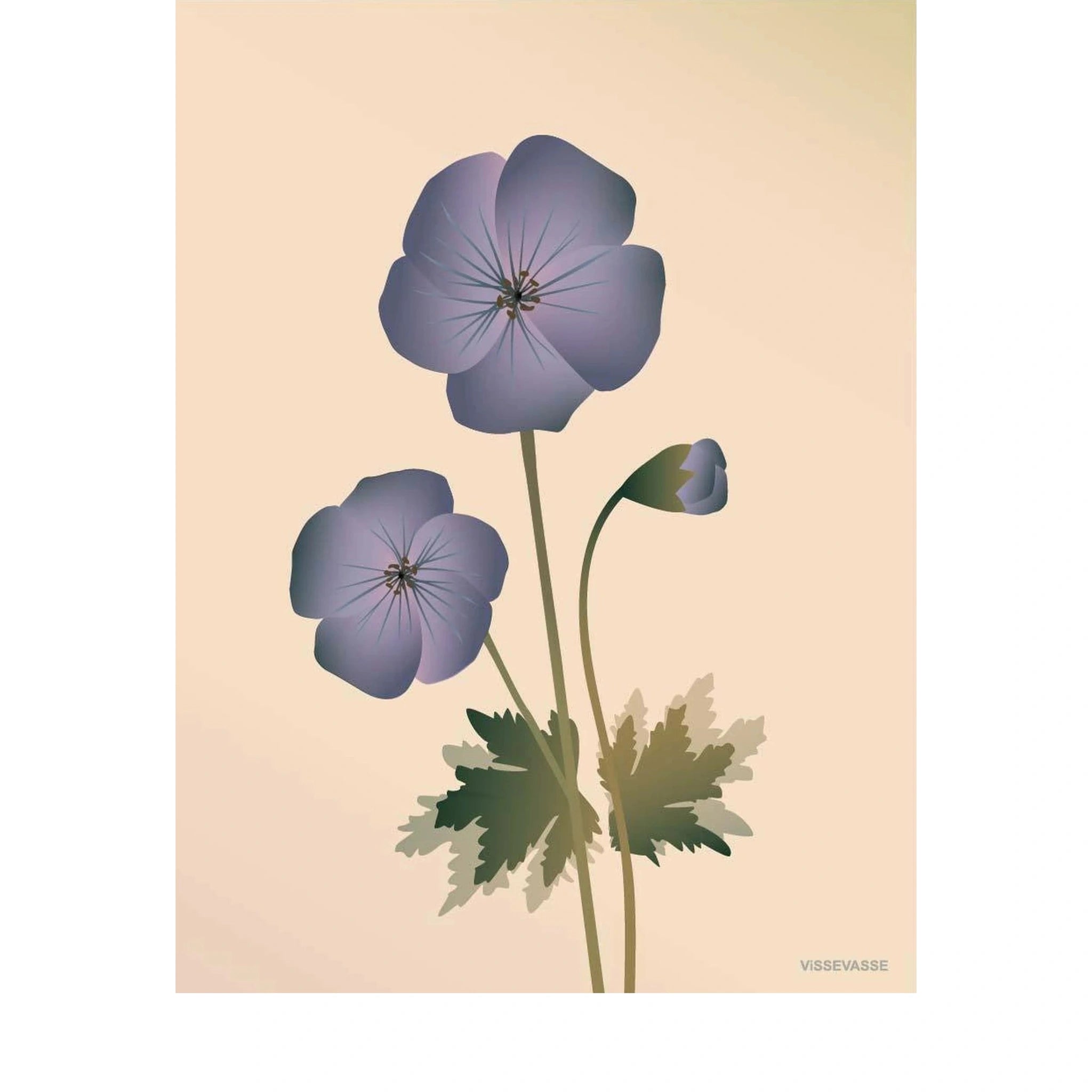Vissevasse Geranium Poster 50 X70 Cm, Nude