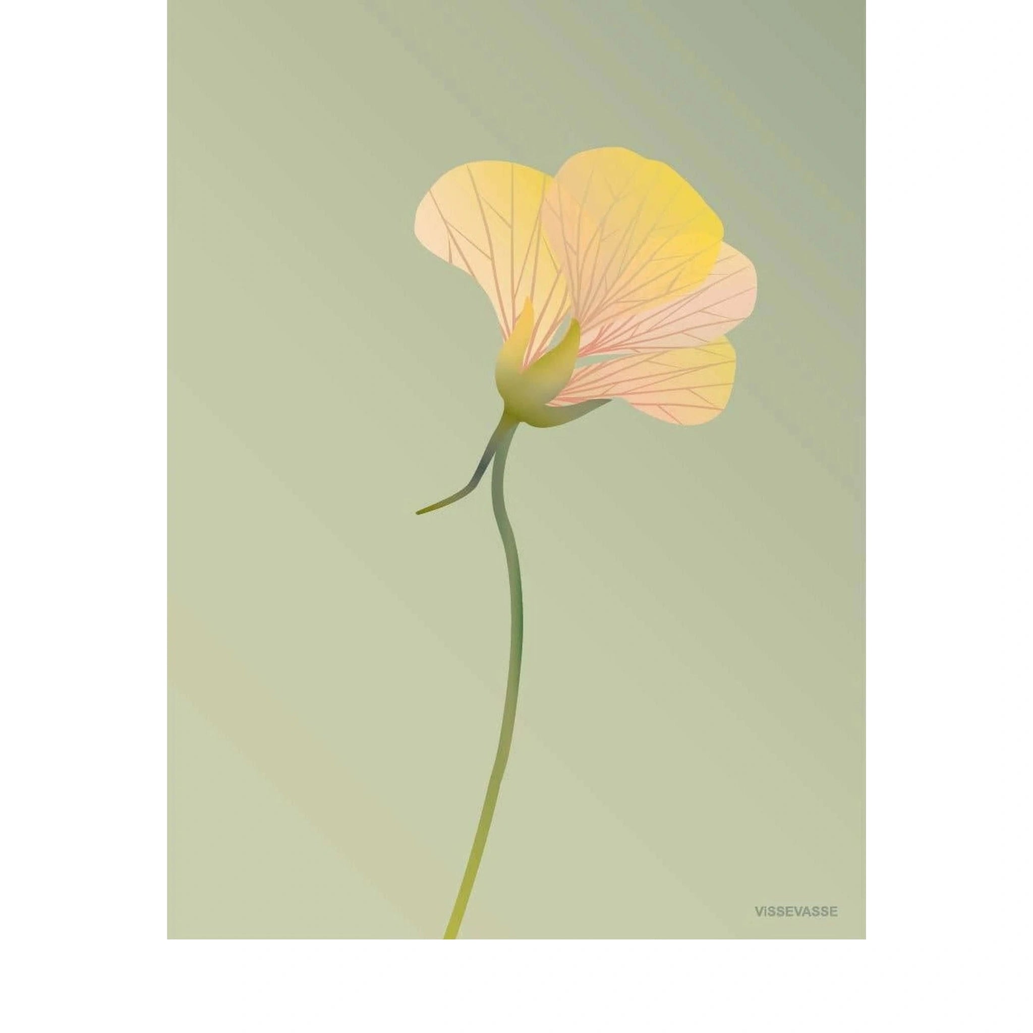 Vissevasse Nasturtium Poster 50 X70 Cm, Green
