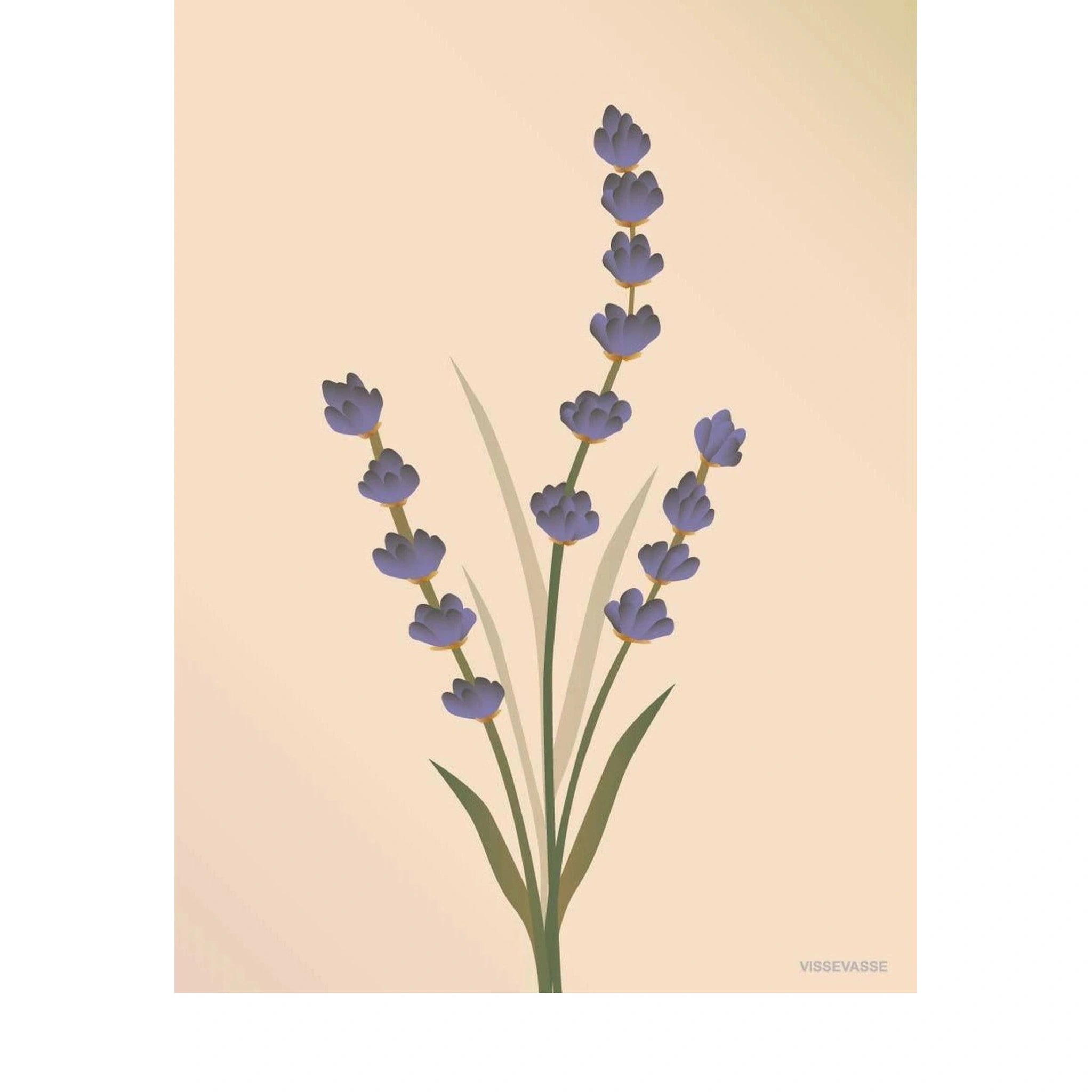 Vissevasse Lavender Greeting Card 15 X21 Cm, Nude