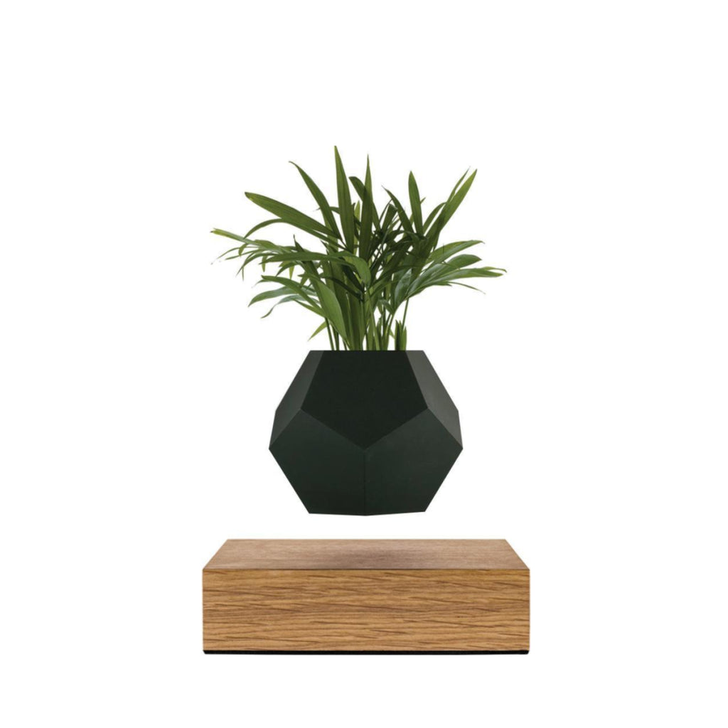 Flyte Lyfe Case, Black