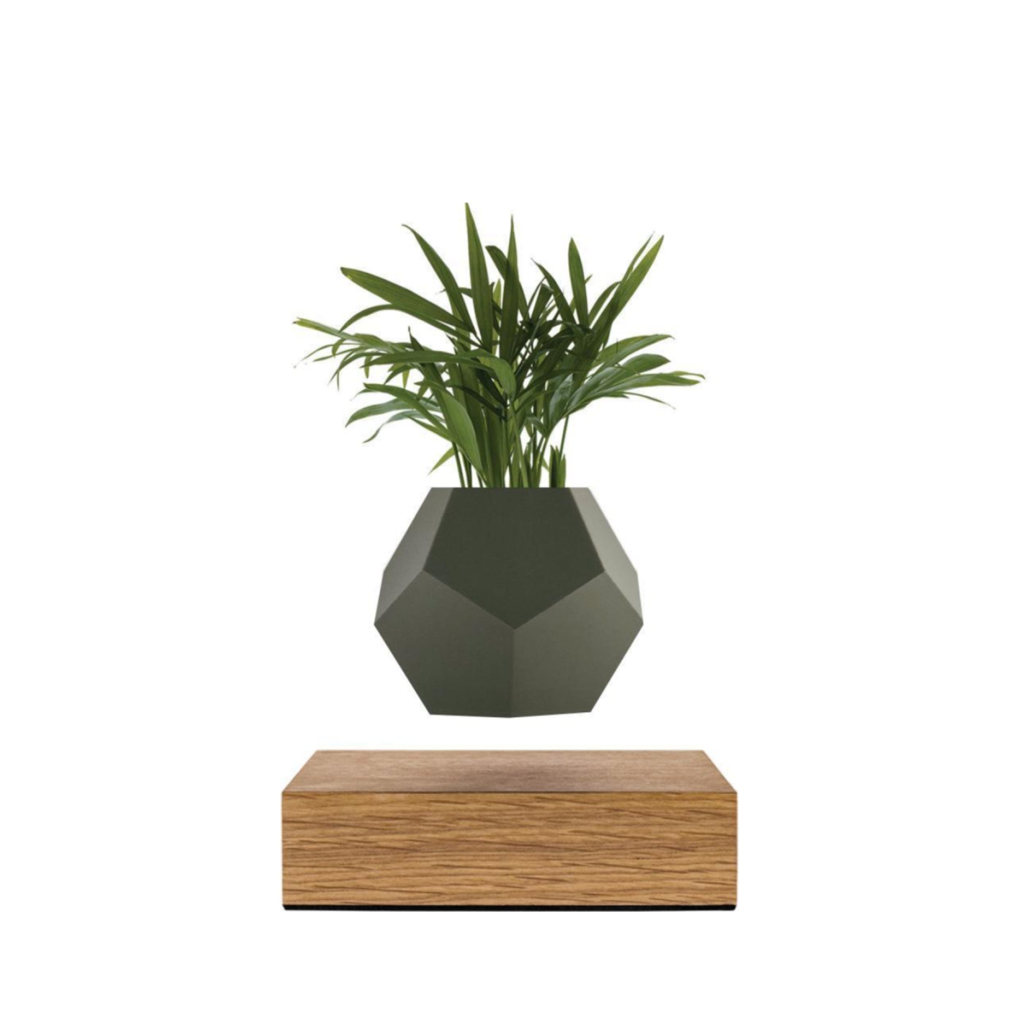 Flyte Lyfe Case, Grey