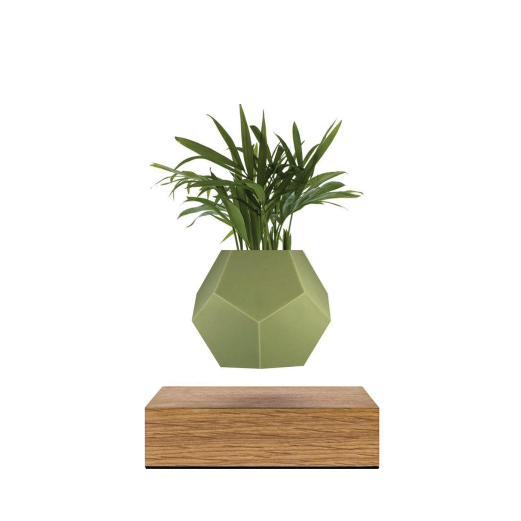 Flyte Lyfe Case, Olive