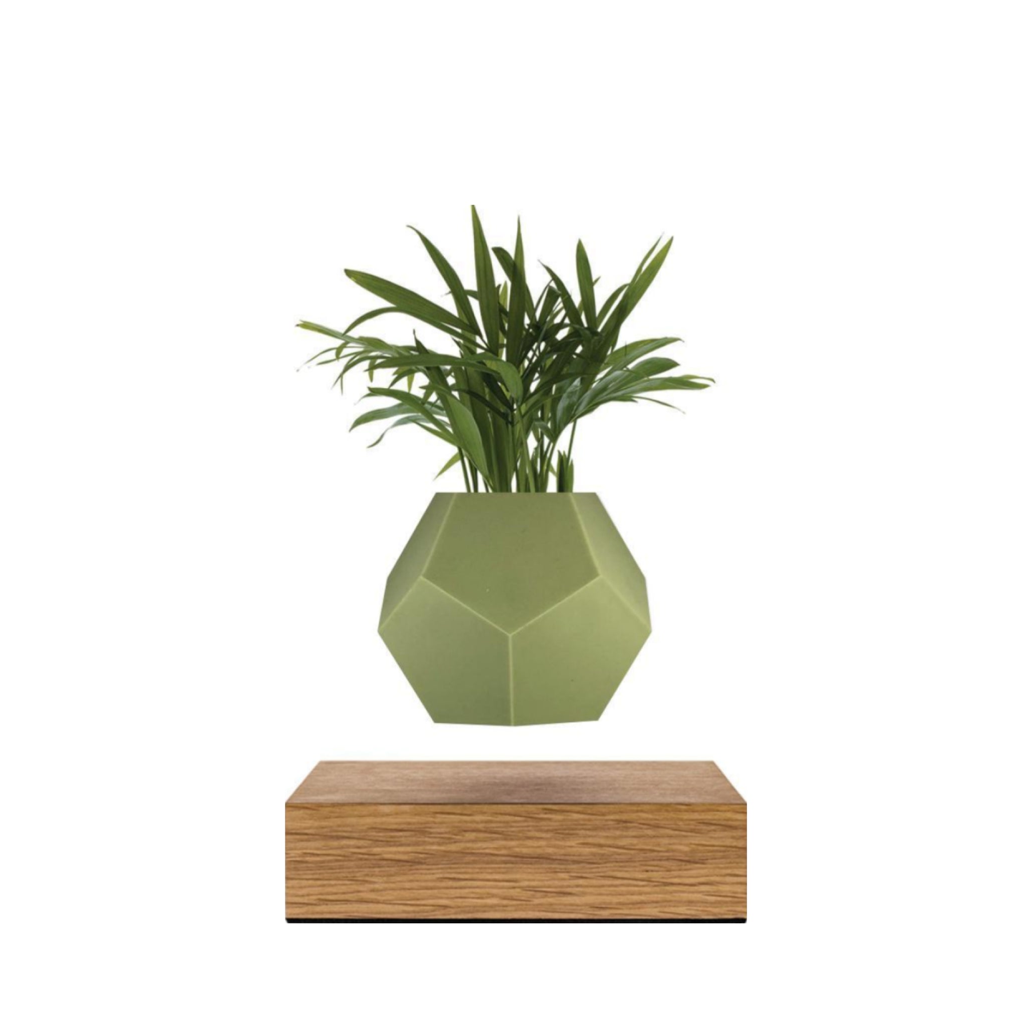 Flyte Lyfe Case, Olive