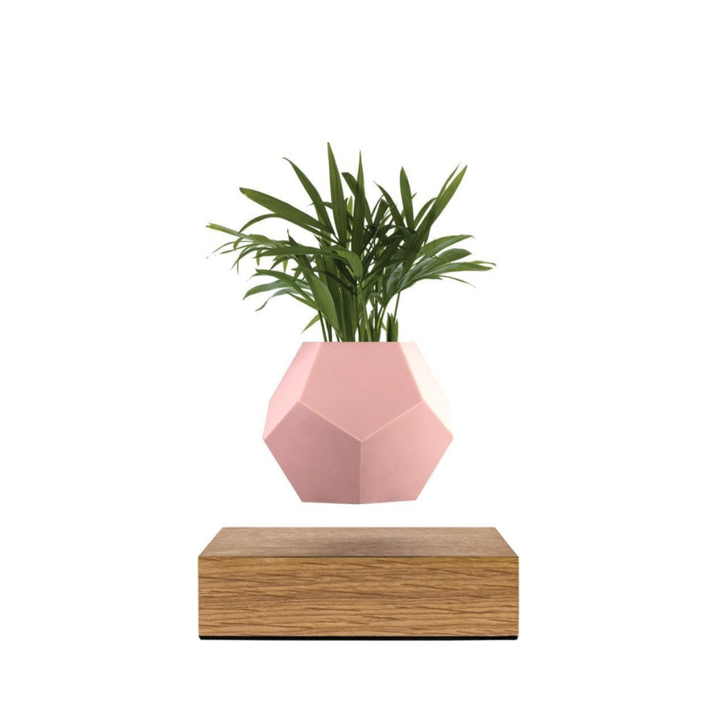 Flyte Lyfe Case, Pink