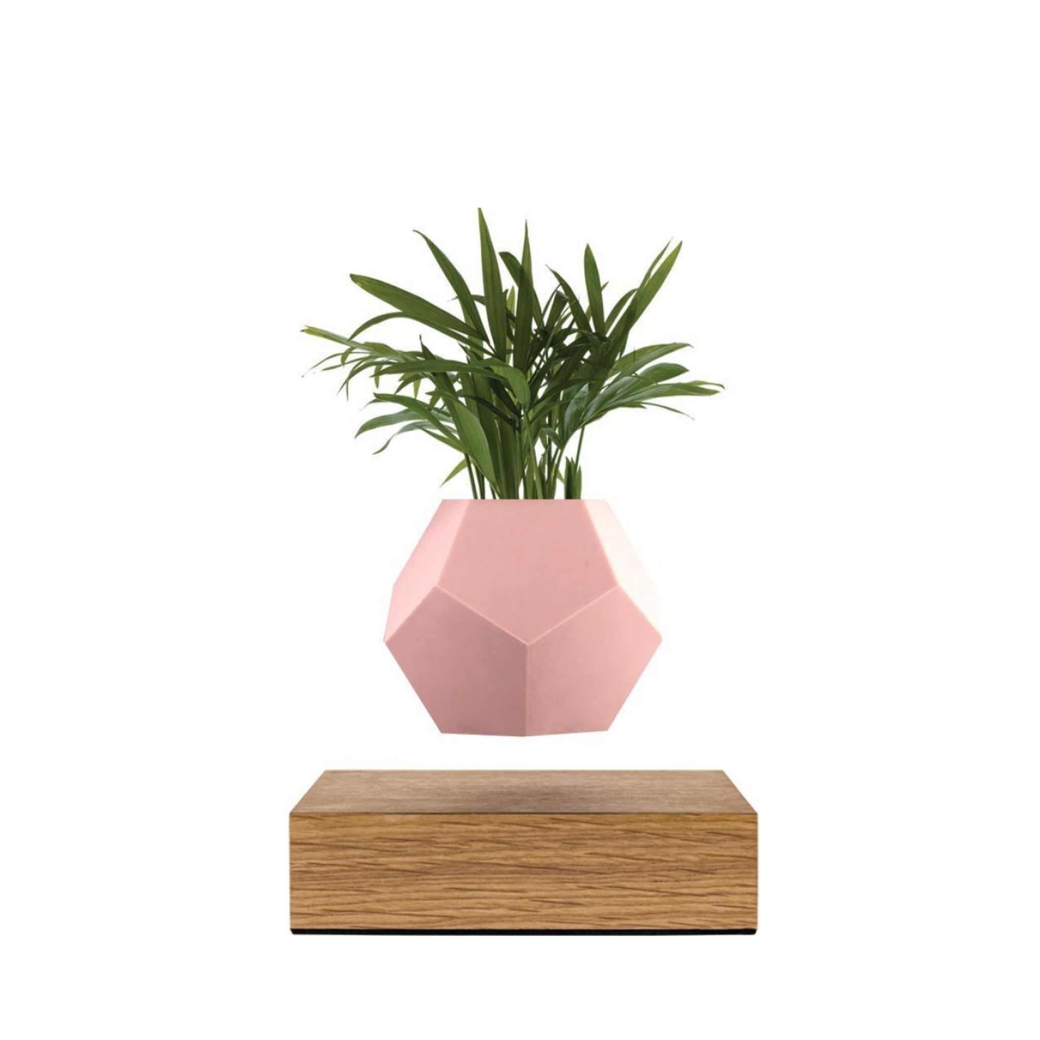 Flyte Lyfe Case, Pink