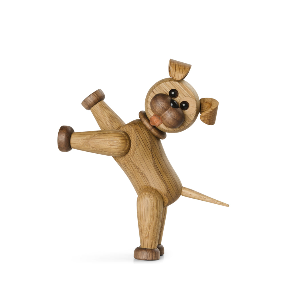 Spring Copenhagen The Dog Happy