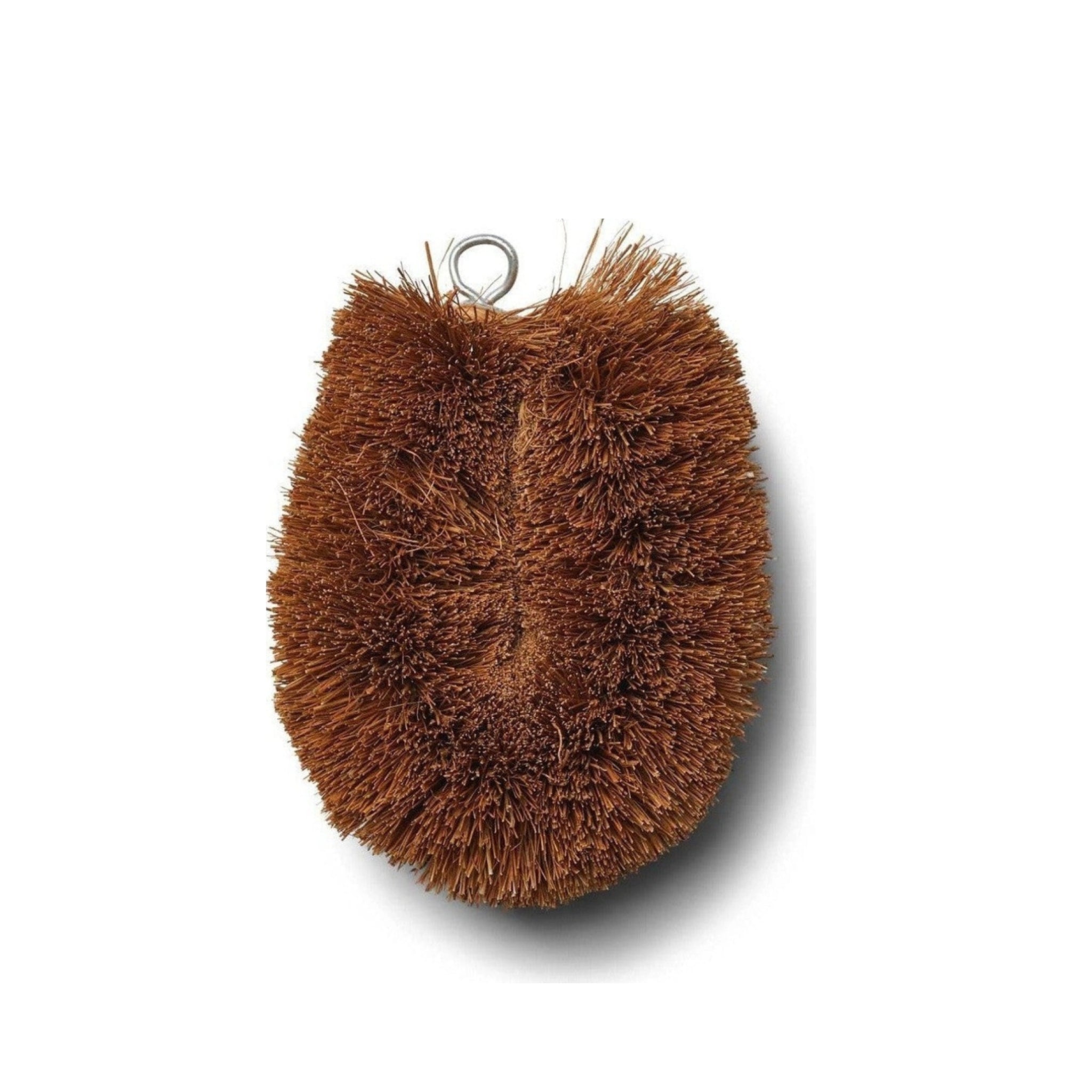 Humdakin Brush Coconut