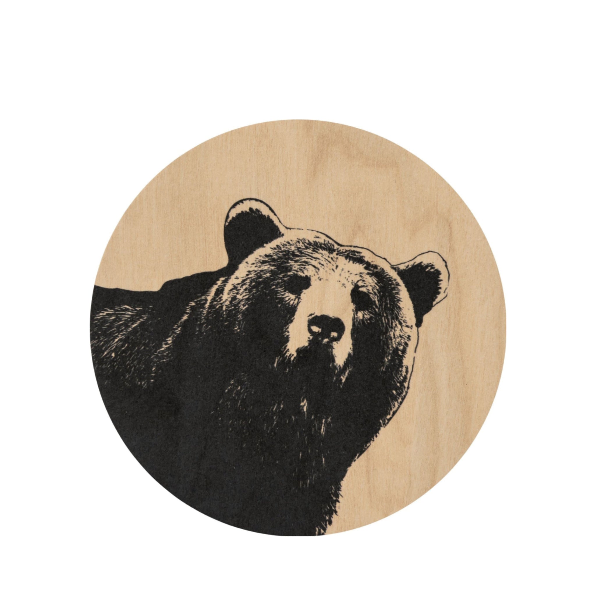 Muurla Coaster, The Bear