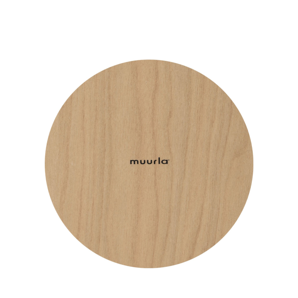 Muurla Coaster, The Raven