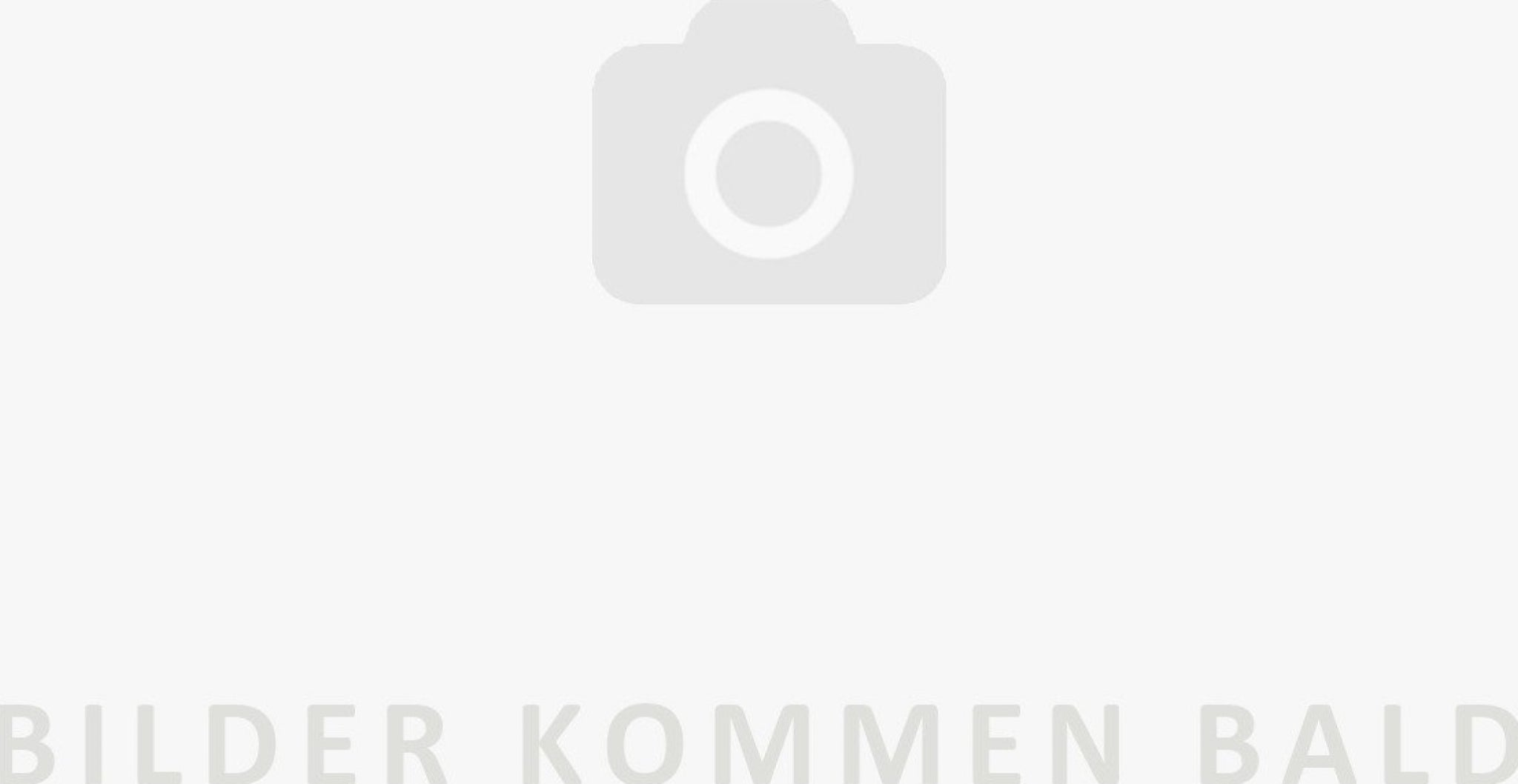 Wesco Toilet Brush , Graphite Matt