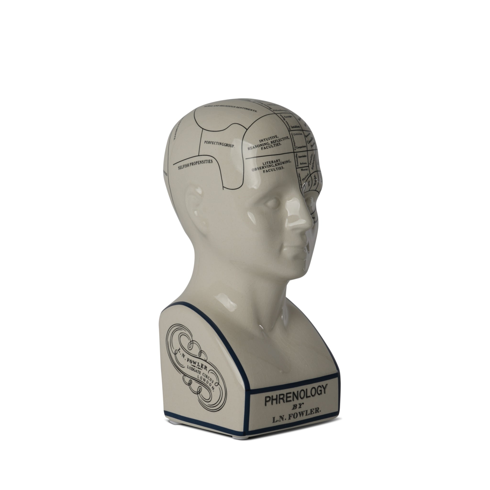 Authentic Models Phrenological Head