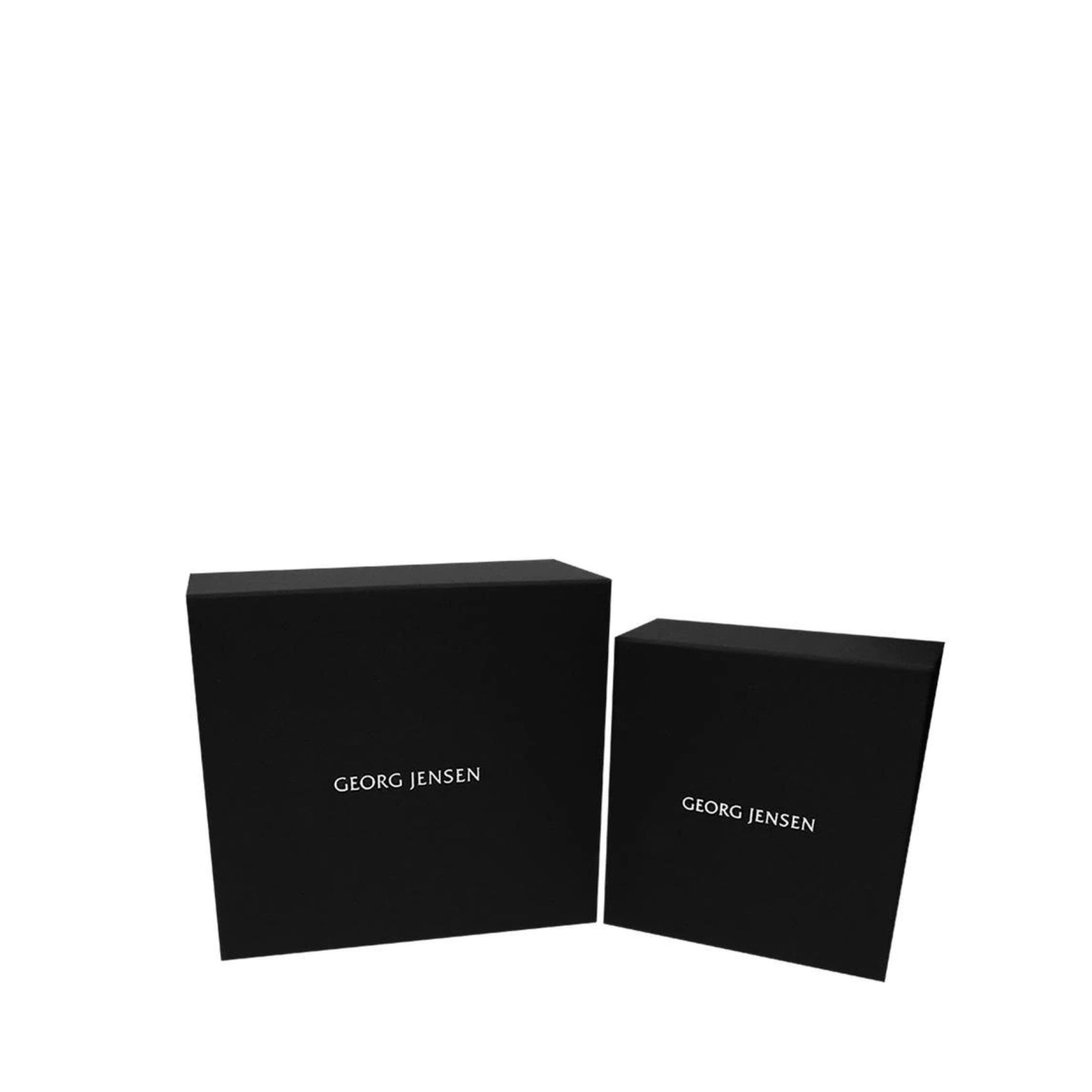 1614945167 Georg Jensen Jewelry box