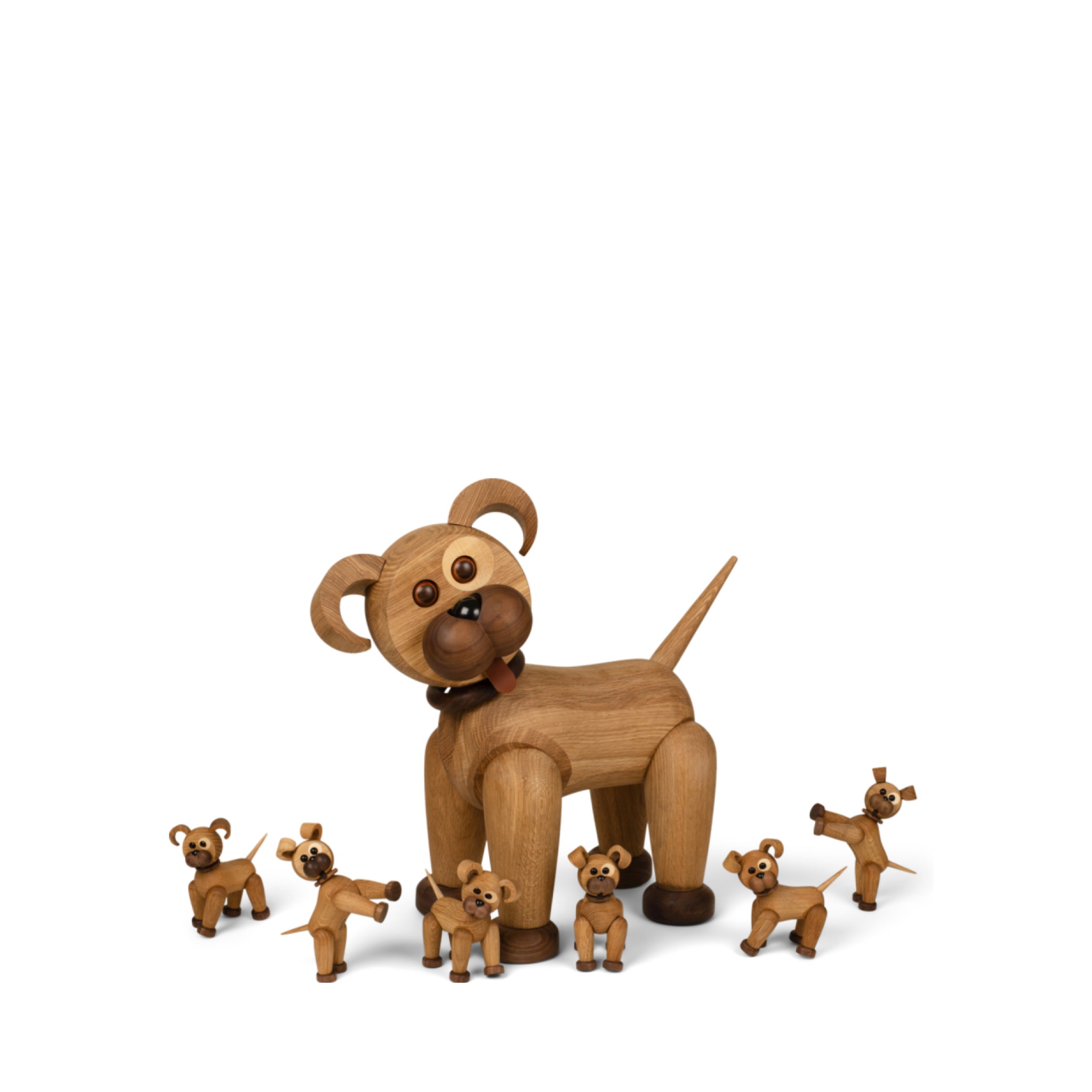 Spring Copenhagen The Dog Happy