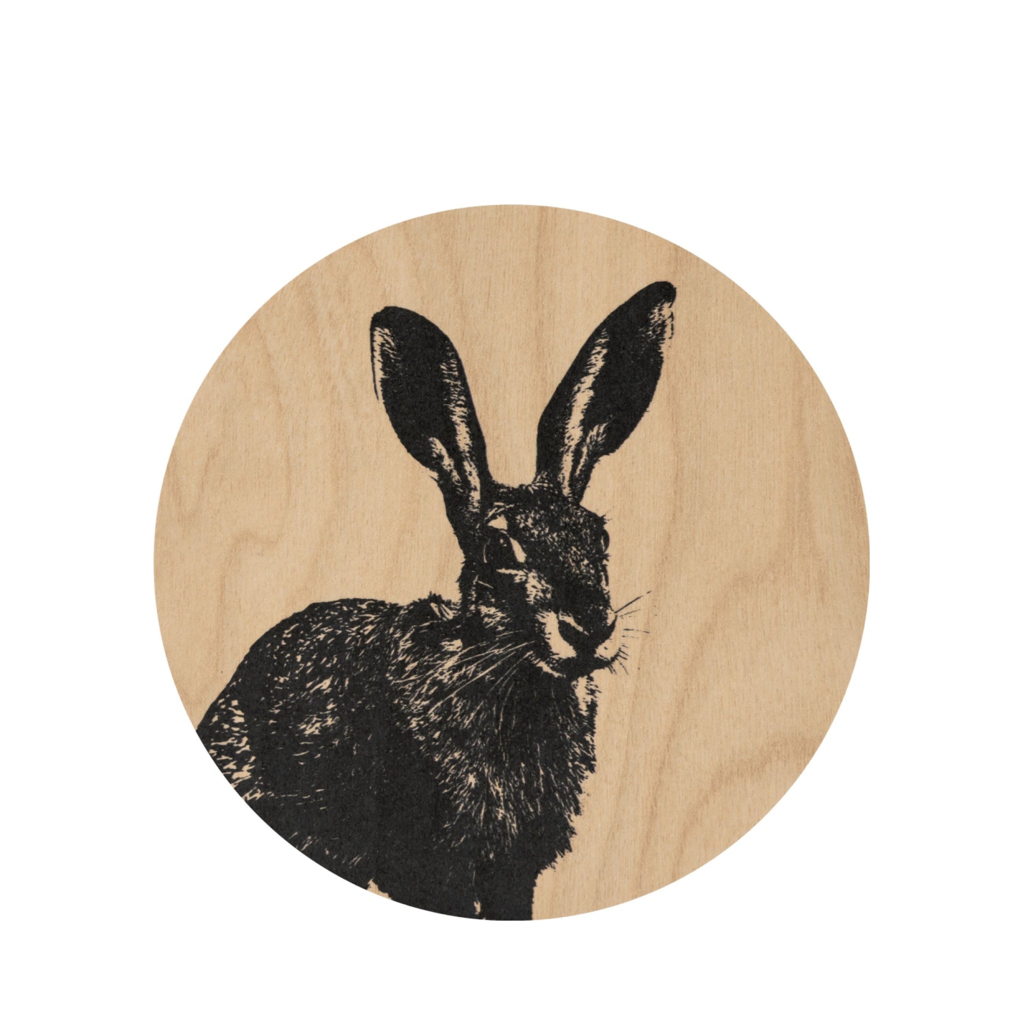 Muurla Coaster, The Hare
