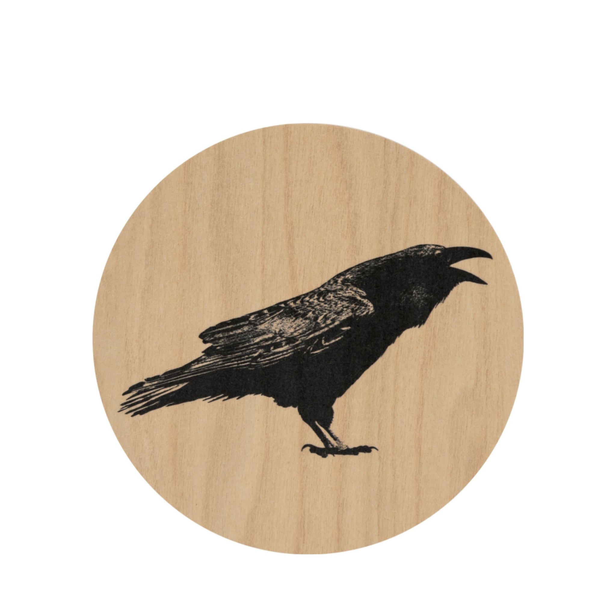 Muurla Coaster, The Raven