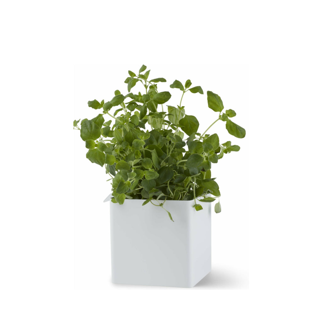 Gejst FLEX Small Box White 10.5cm - Magnetic Rail Storage Accessory