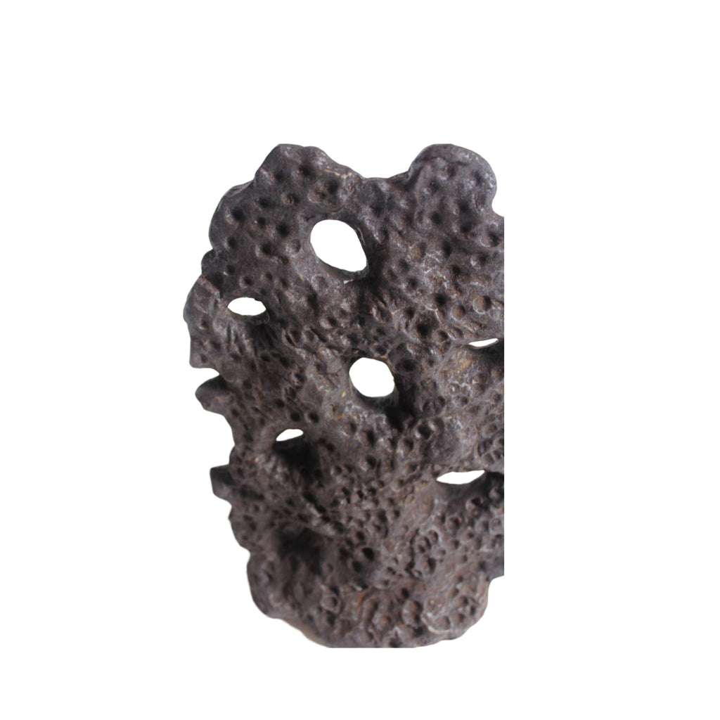 Muubs Soil Sculpture Chocolate, Large