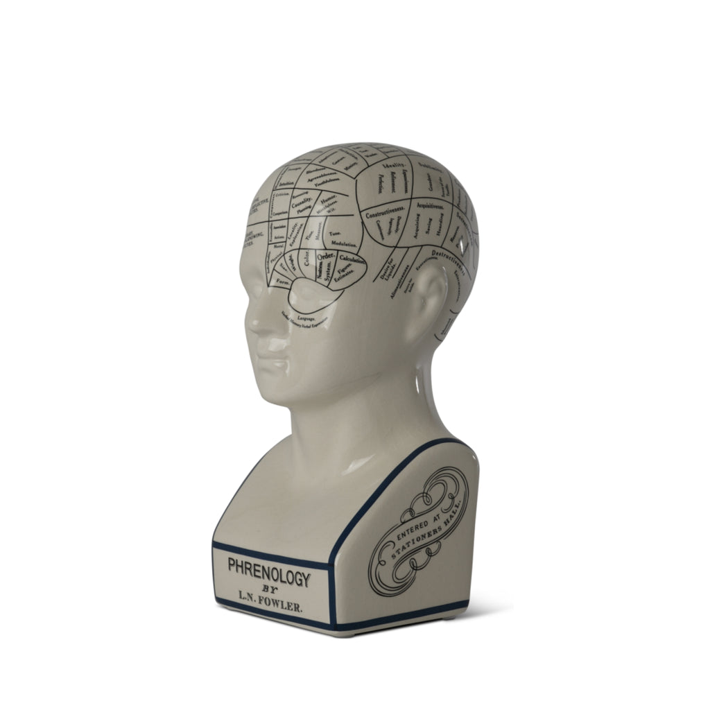 Authentic Models Phrenological Head