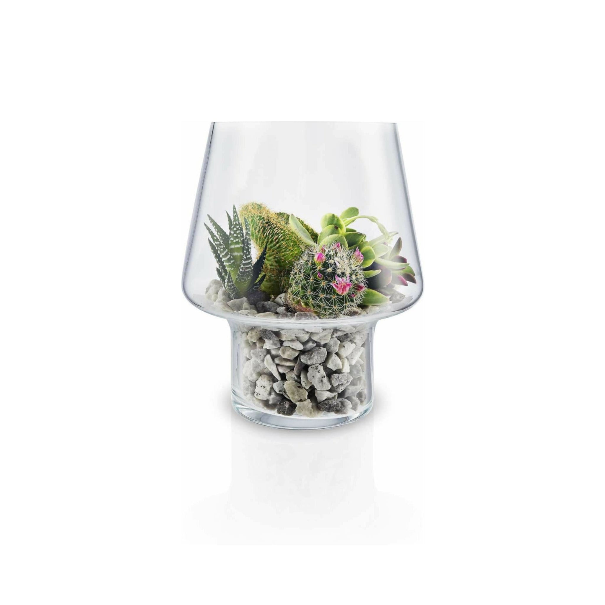 Eva Solo Sukkulenten-Glasvase, Ø15 Cm