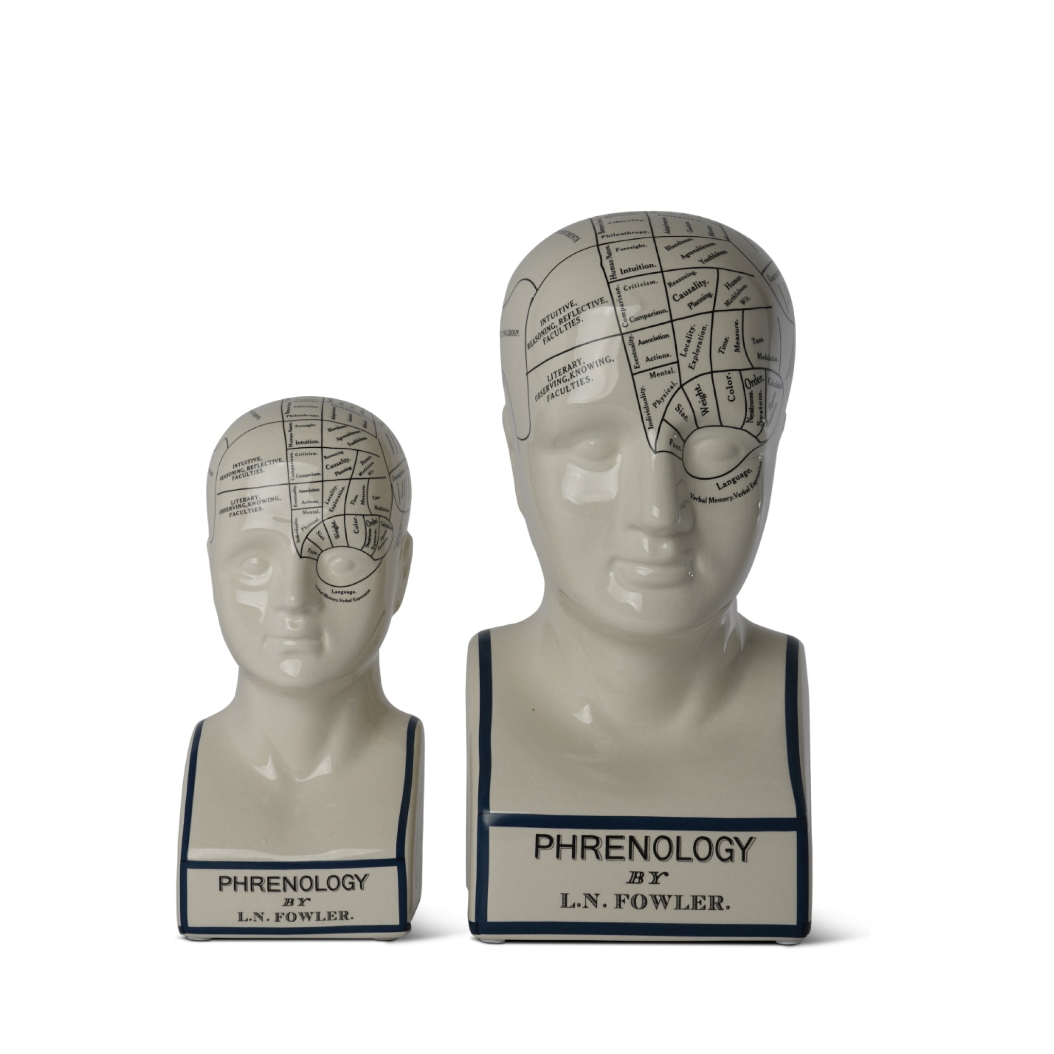Authentic Models Phrenological Head
