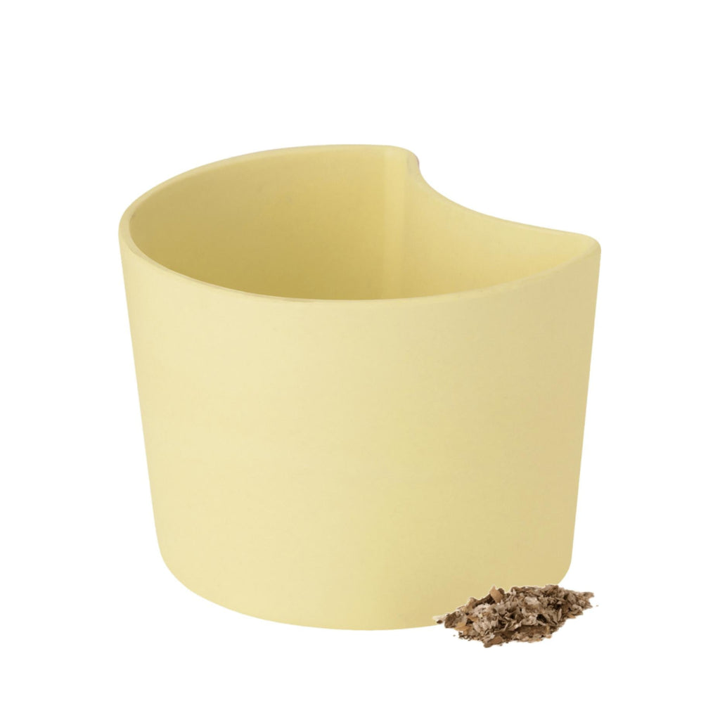 Rig Tig Your Tree Flower Pots With Seeds, Yellow