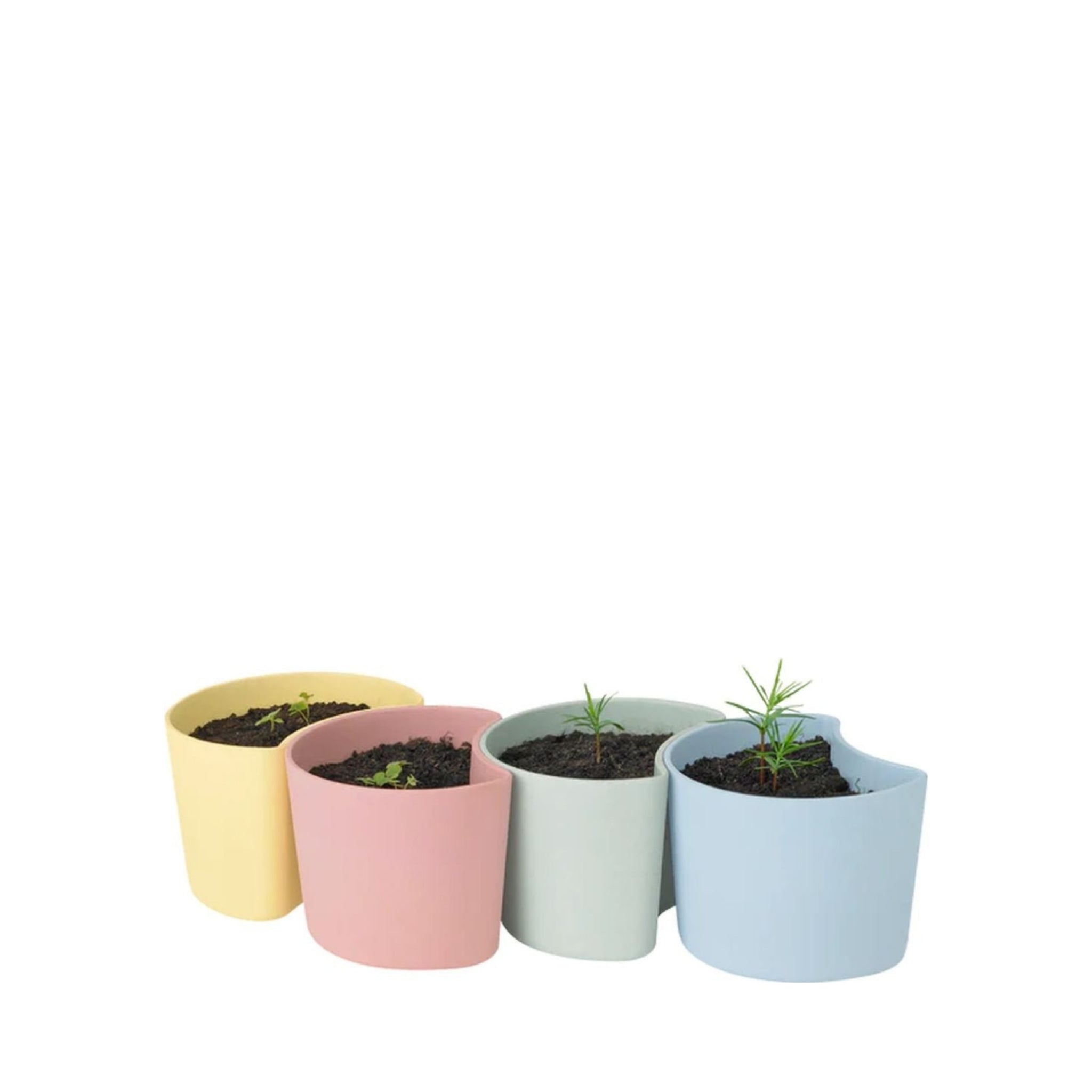 Rig Tig Your Tree Flower Pots With Seeds, Pink