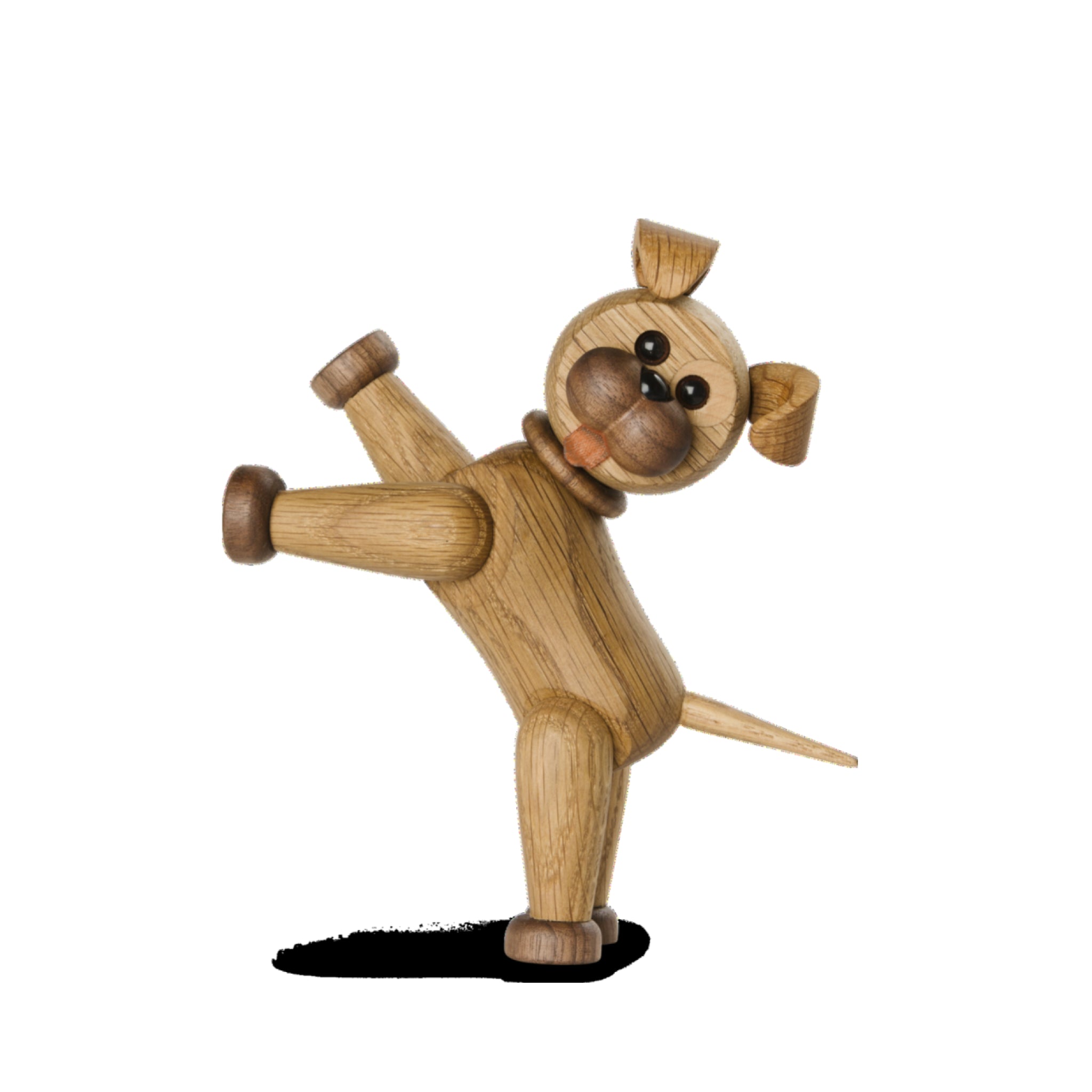 Spring Copenhagen The Dog Happy