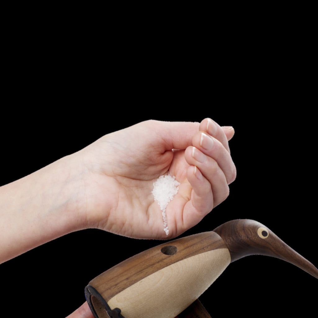 Spring Copenhagen Salt Penguin Salt Mill