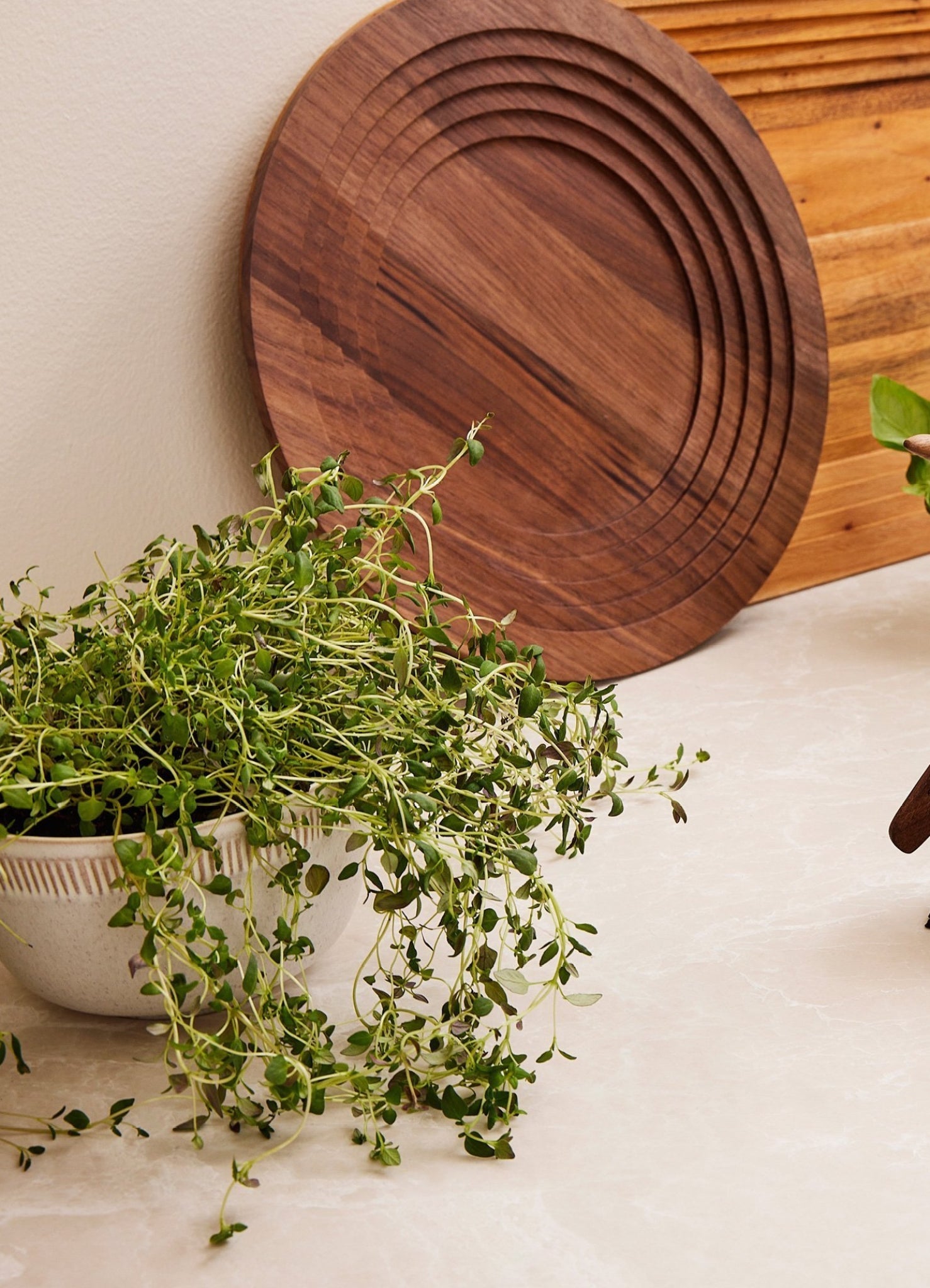 Spring Copenhagen Colosseum, Amfi