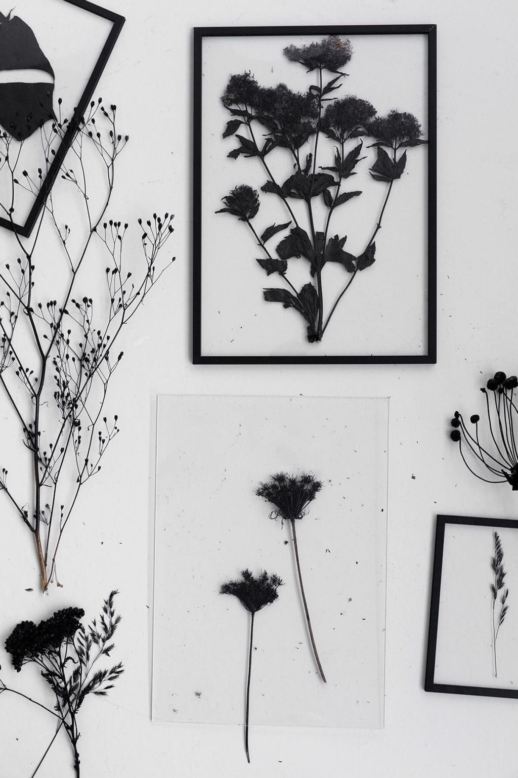 Moebe Frame 50x70 Cm, Black