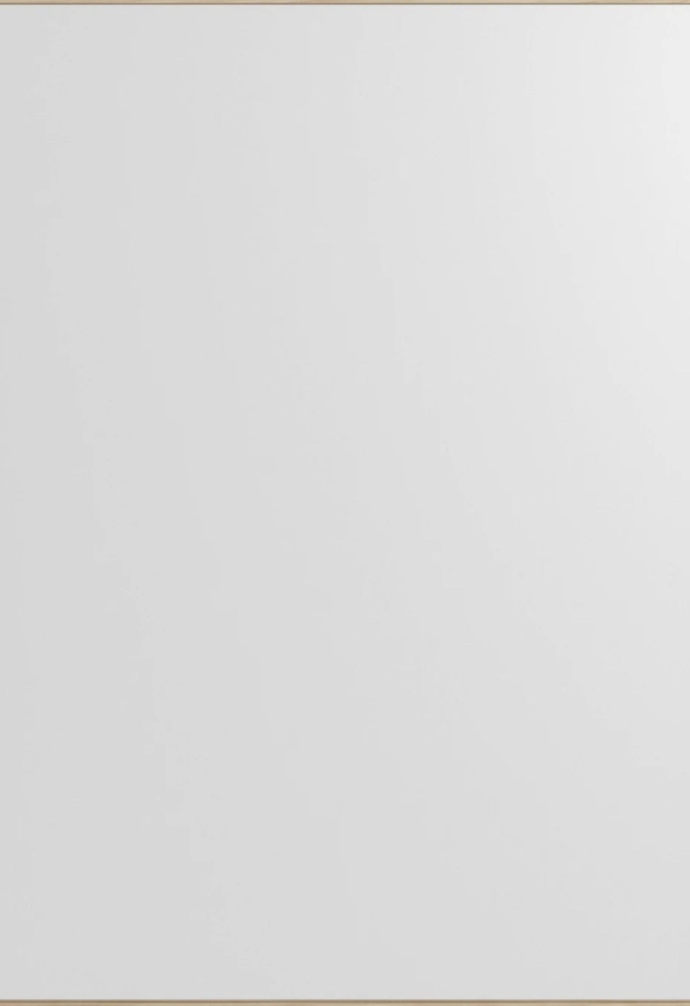 Minimalist Moebe Rectangular Wall Mirror in Ash - 101.8x70 cm