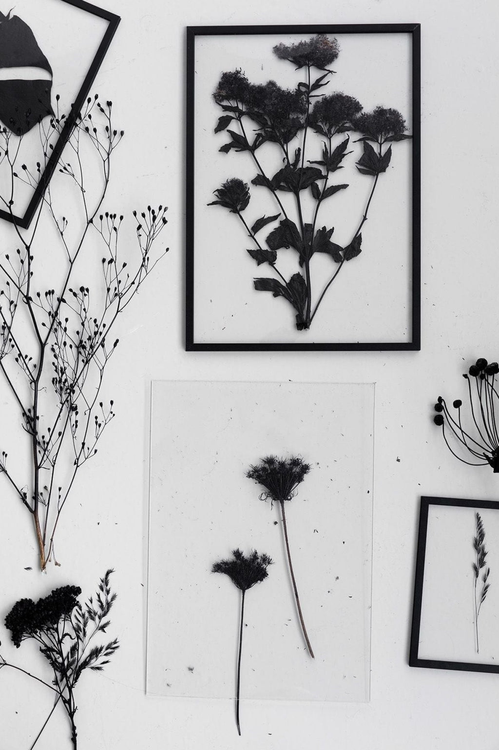 Moebe Frame 40x50 Cm, Black